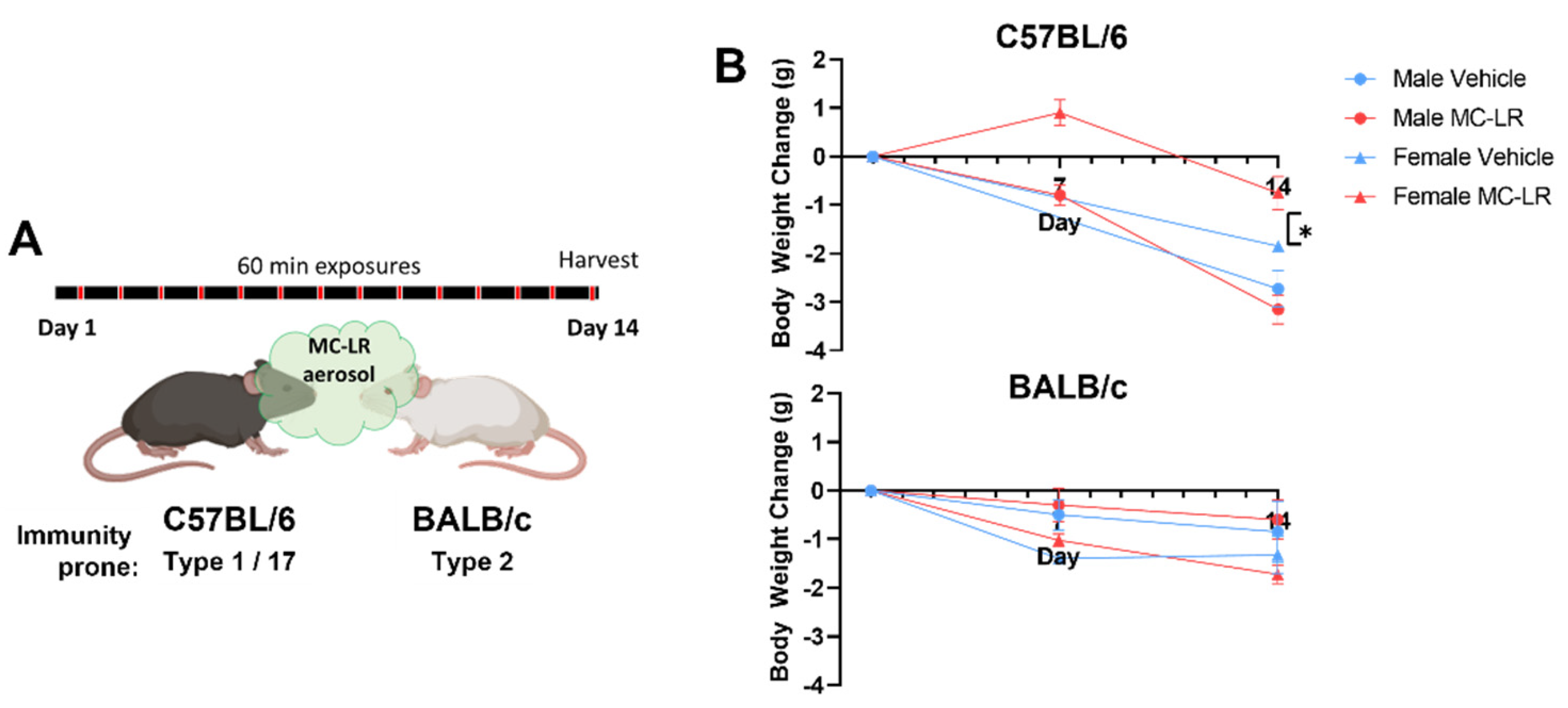 Preprints 119137 g001