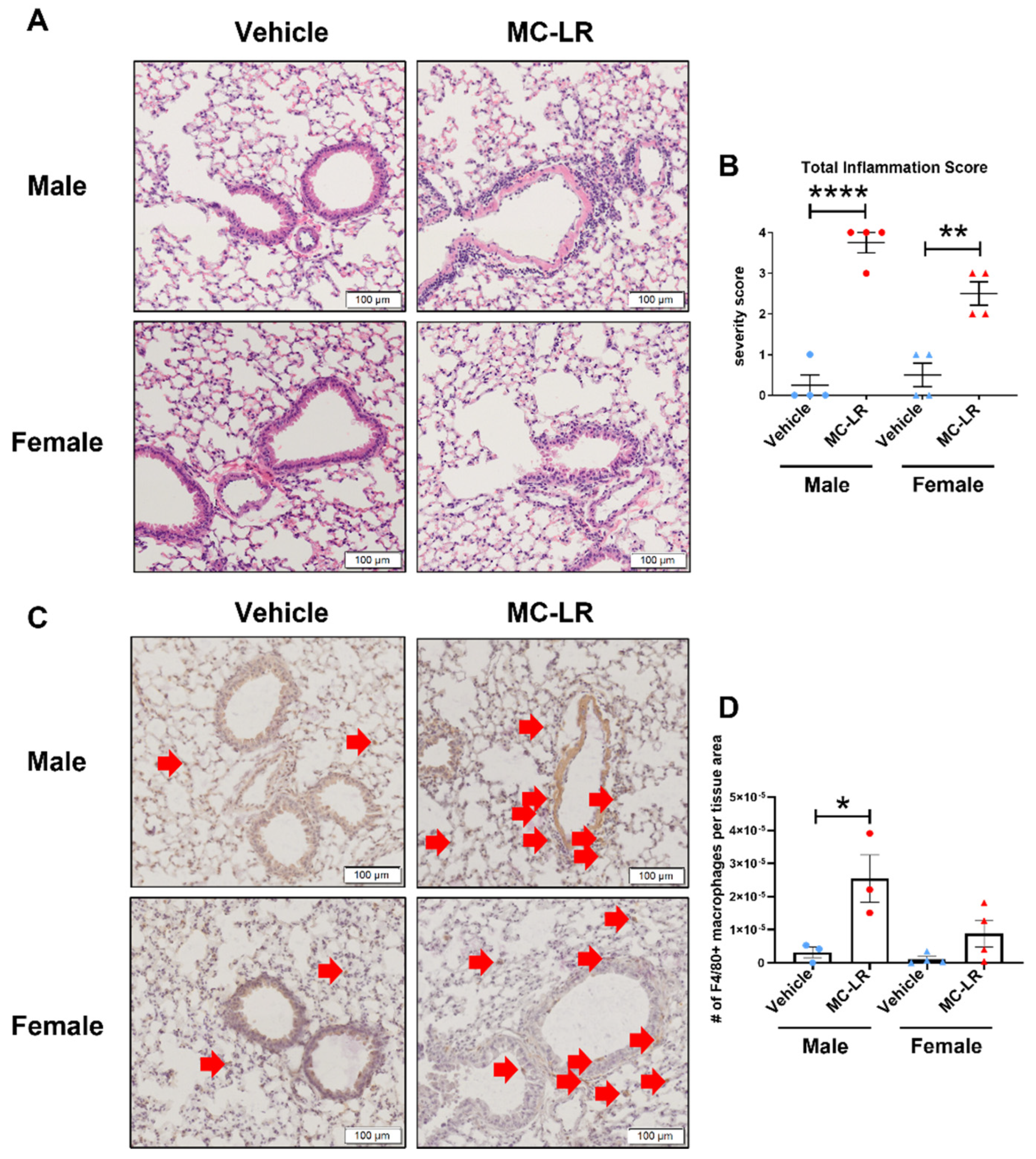 Preprints 119137 g003