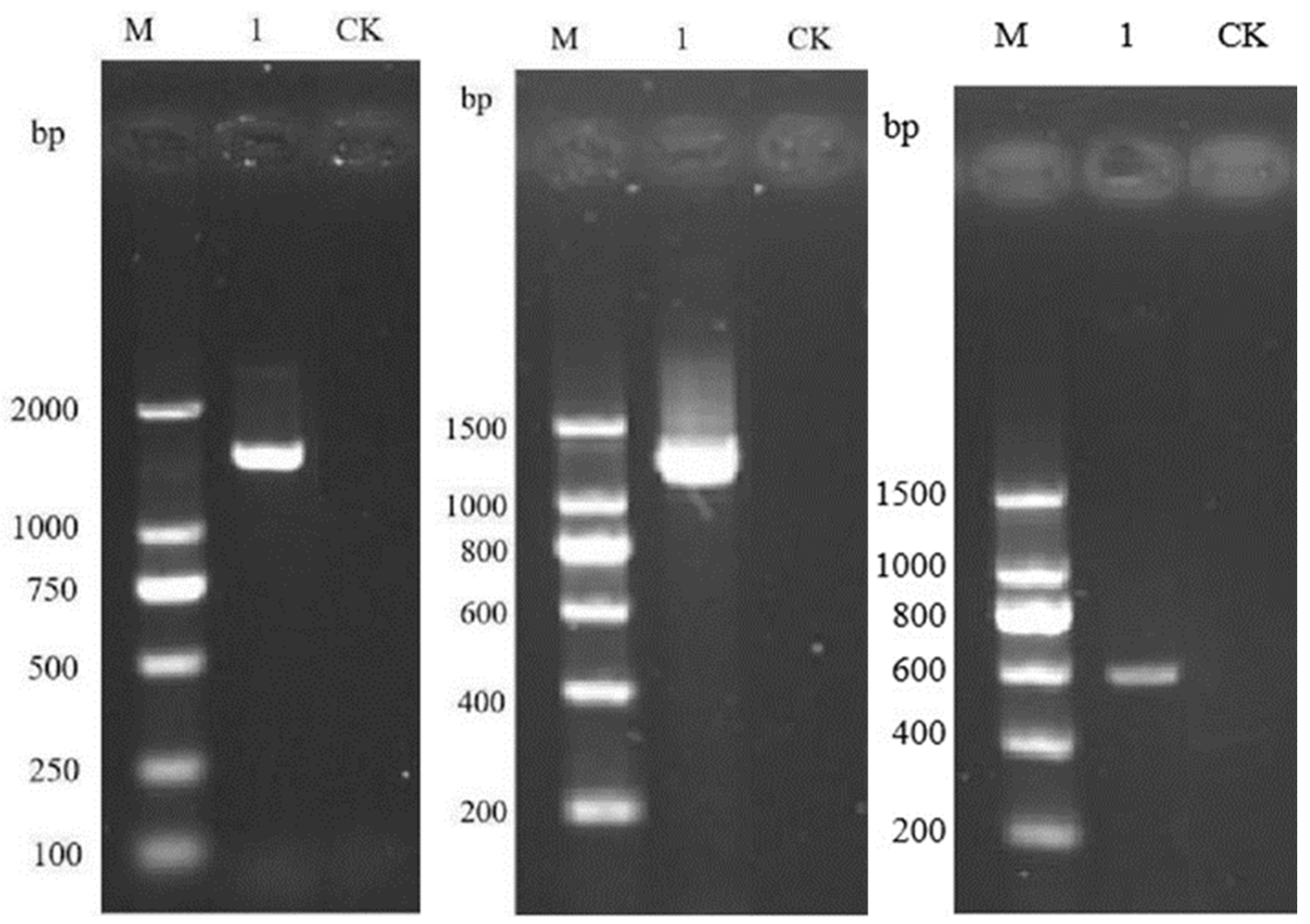 Preprints 120979 g003