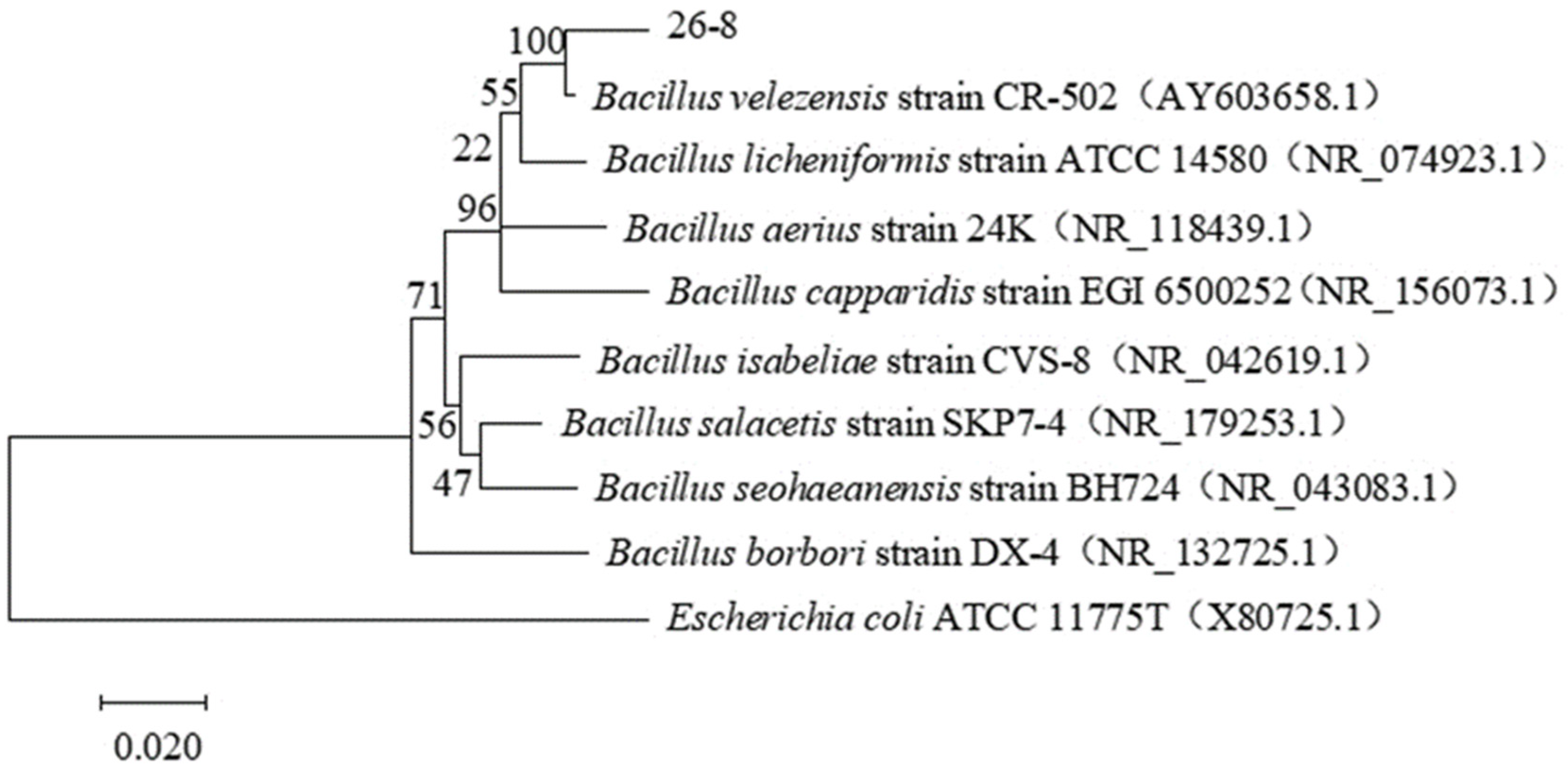 Preprints 120979 g004a