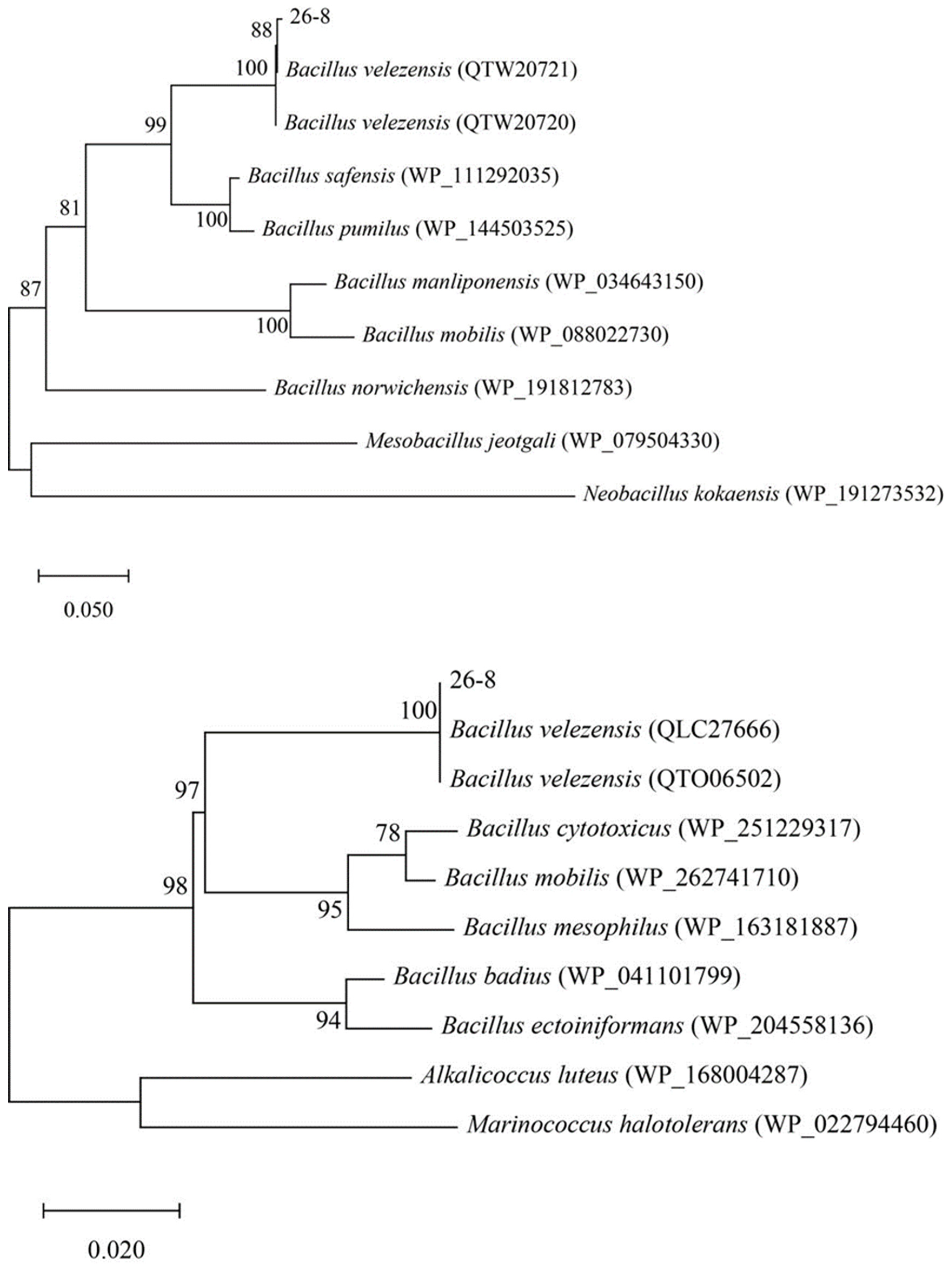 Preprints 120979 g004b