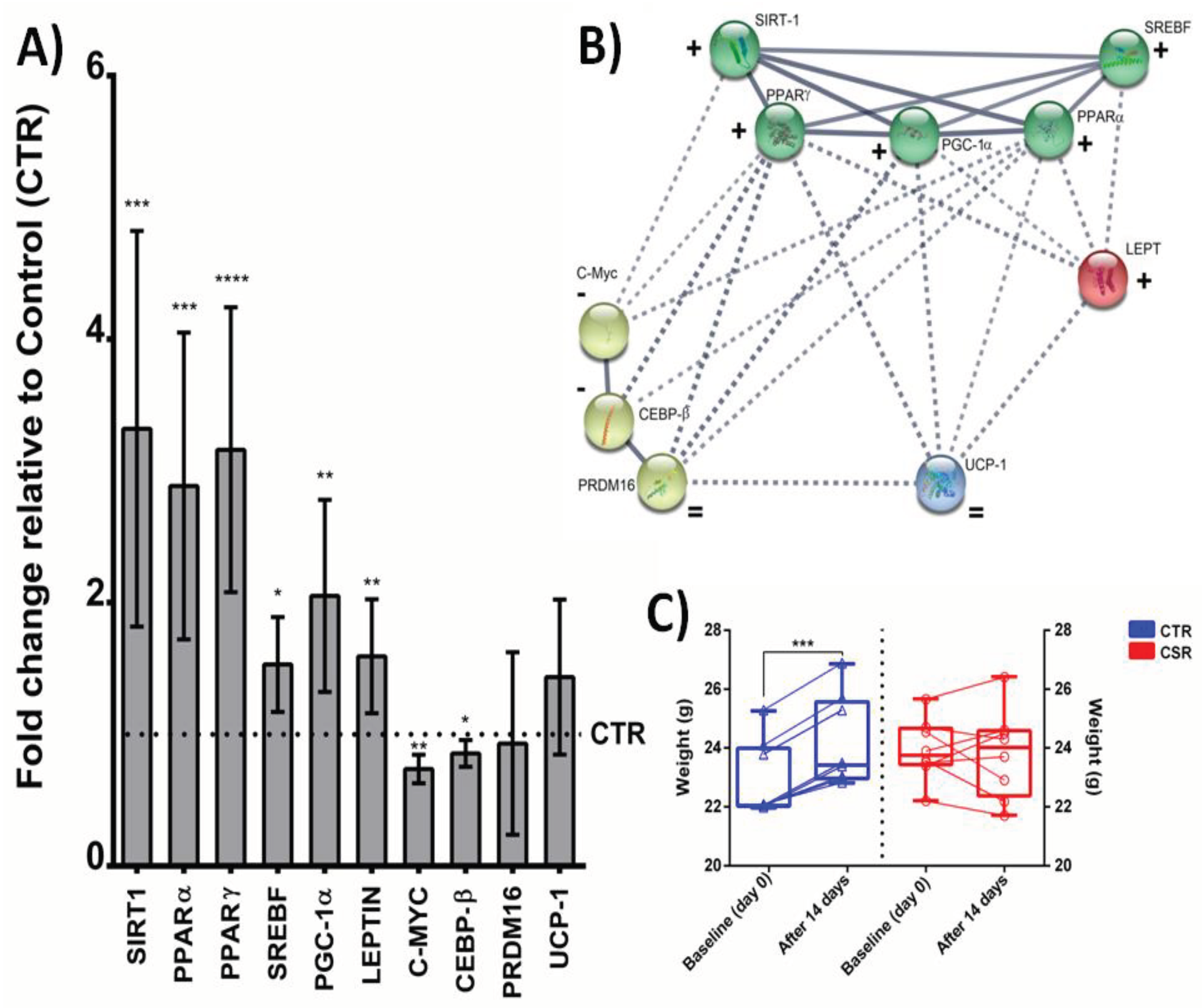 Preprints 93292 g002