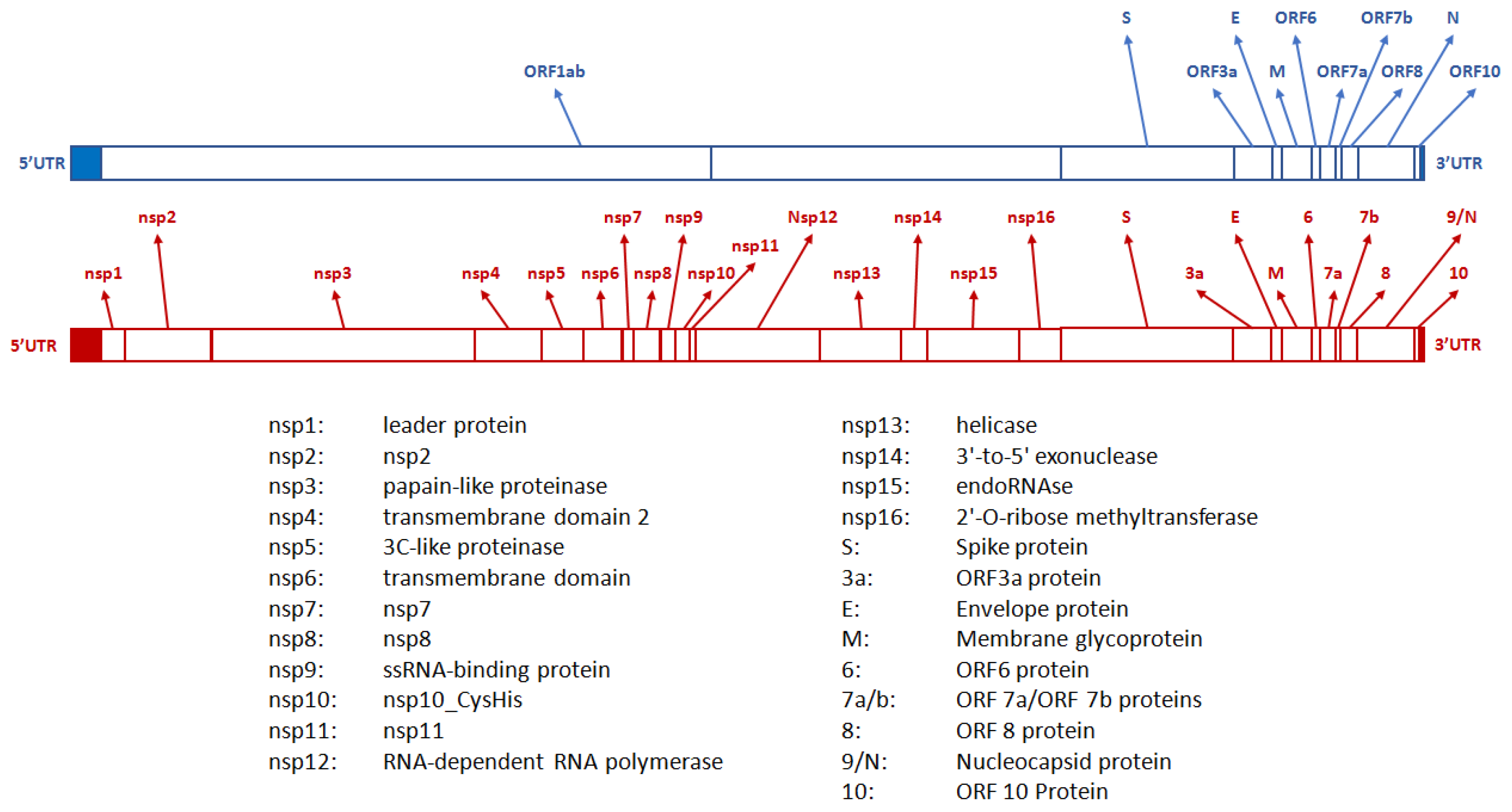 Preprints 85004 g001