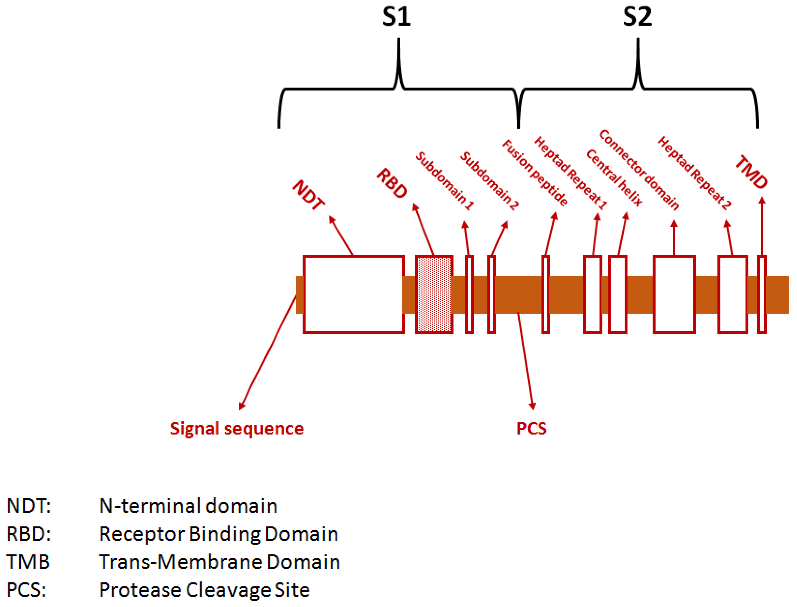 Preprints 85004 g002