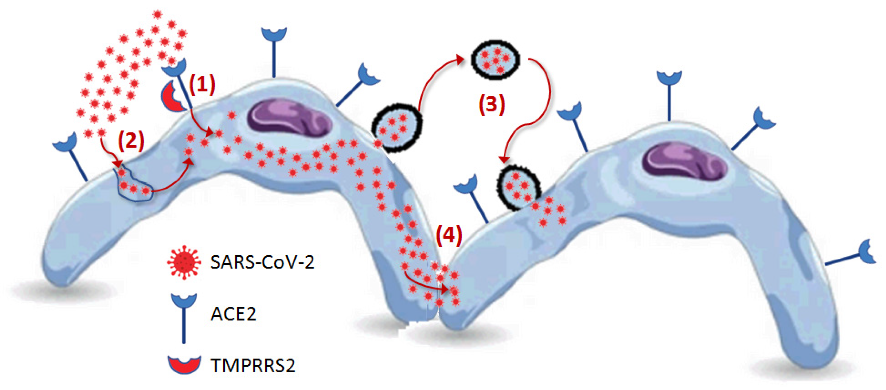 Preprints 85004 g003