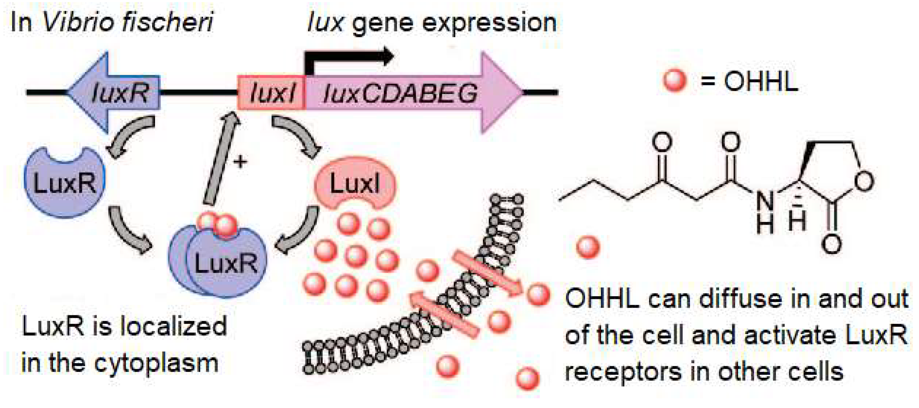 Preprints 118894 g001