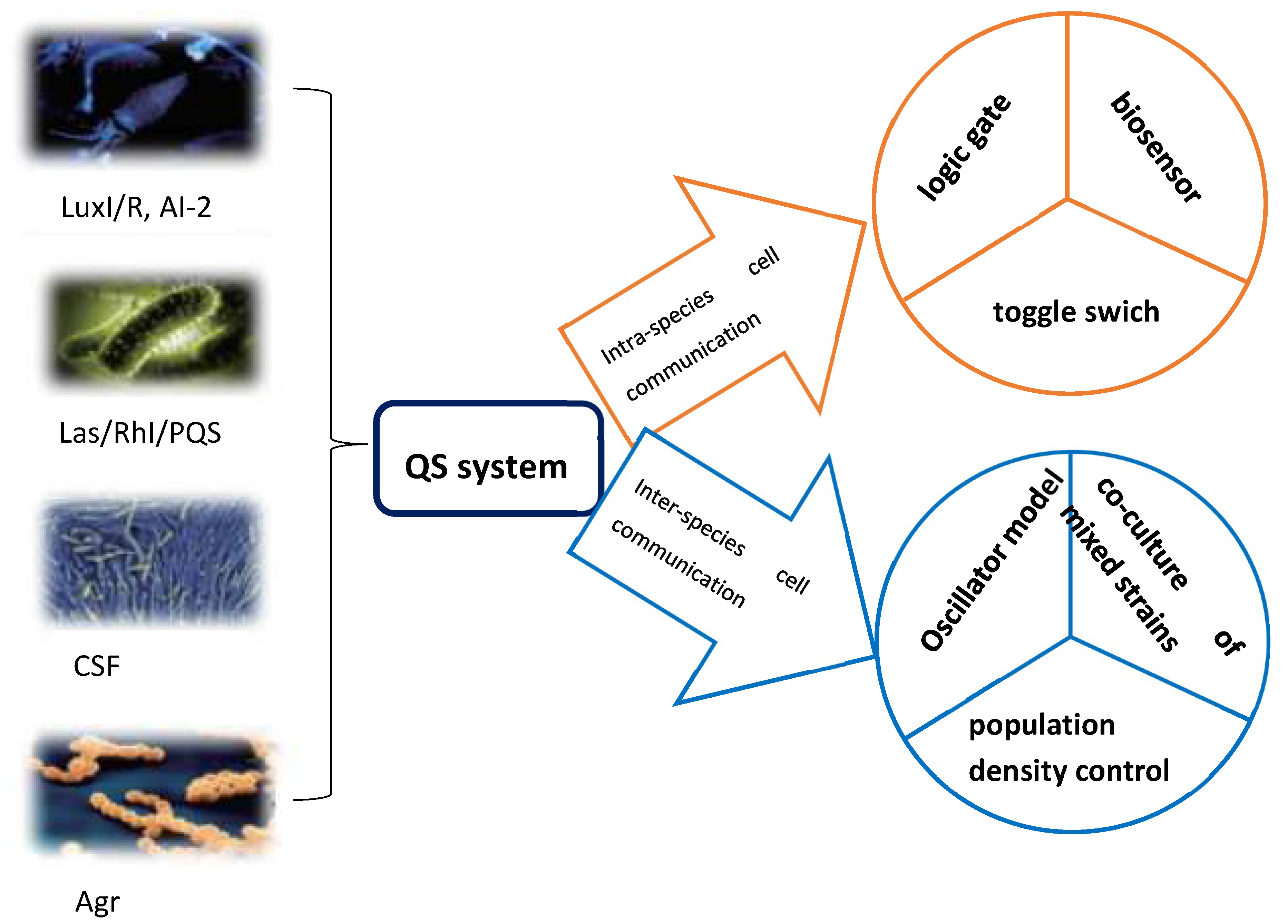 Preprints 118894 g002