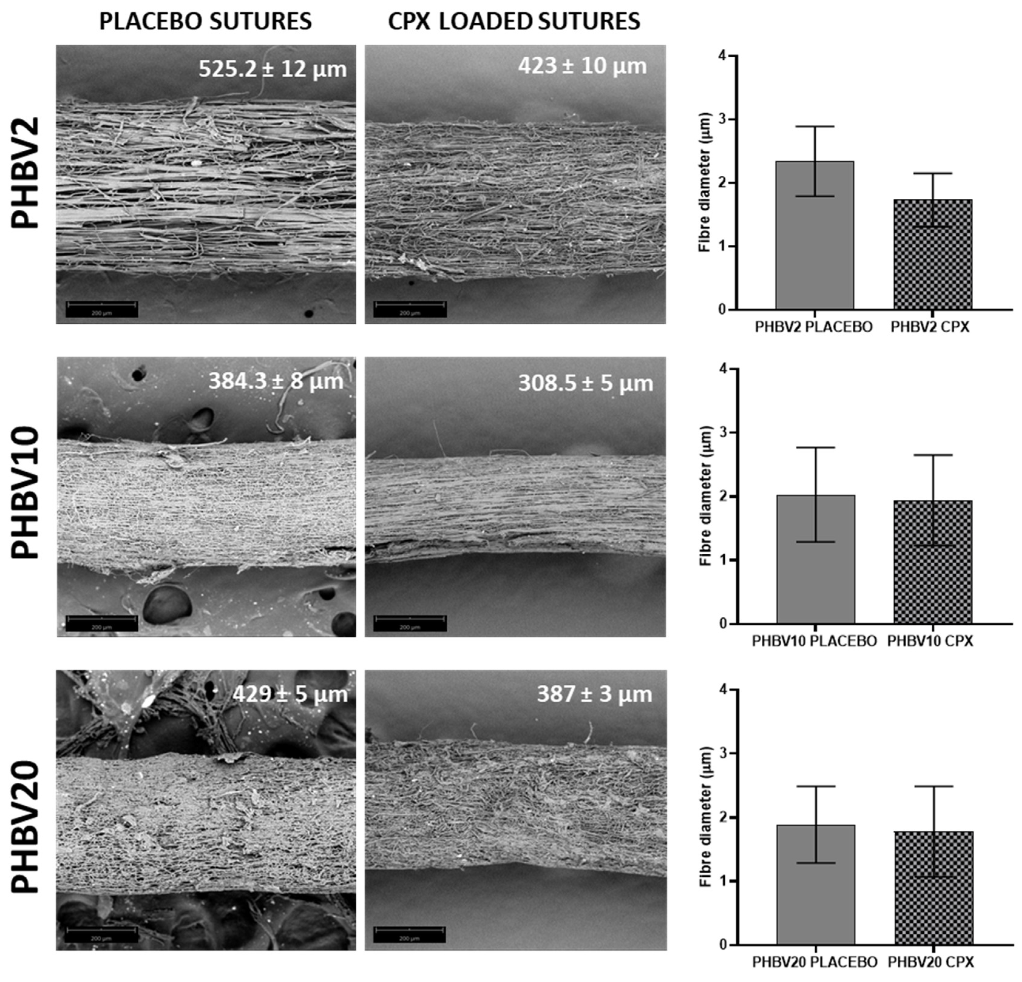 Preprints 95817 g002