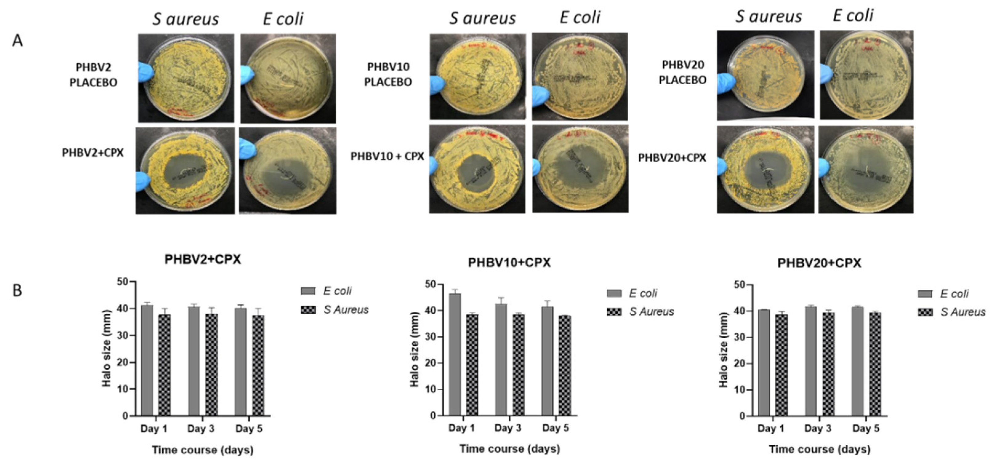 Preprints 95817 g006