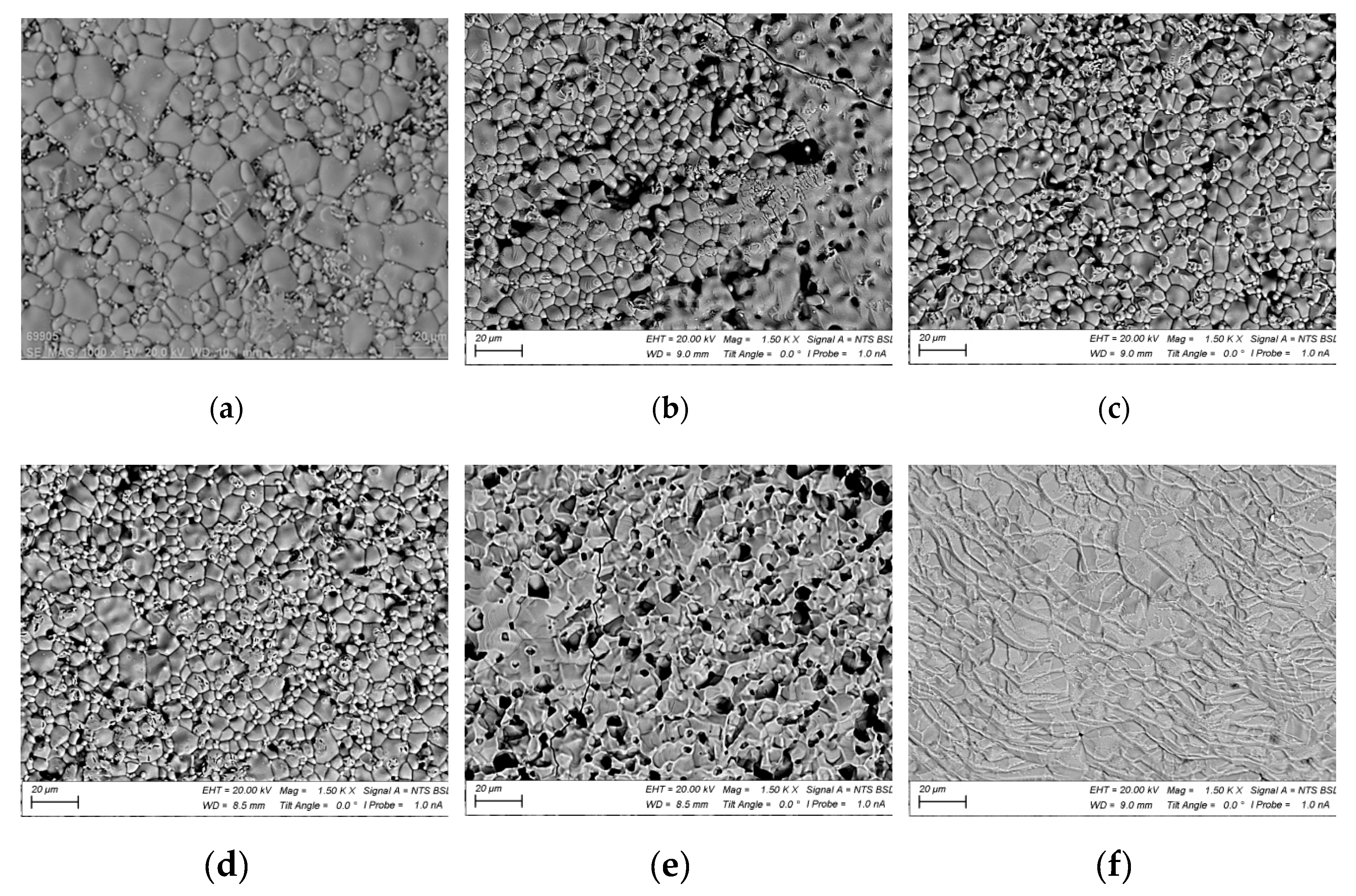 Preprints 85138 g005