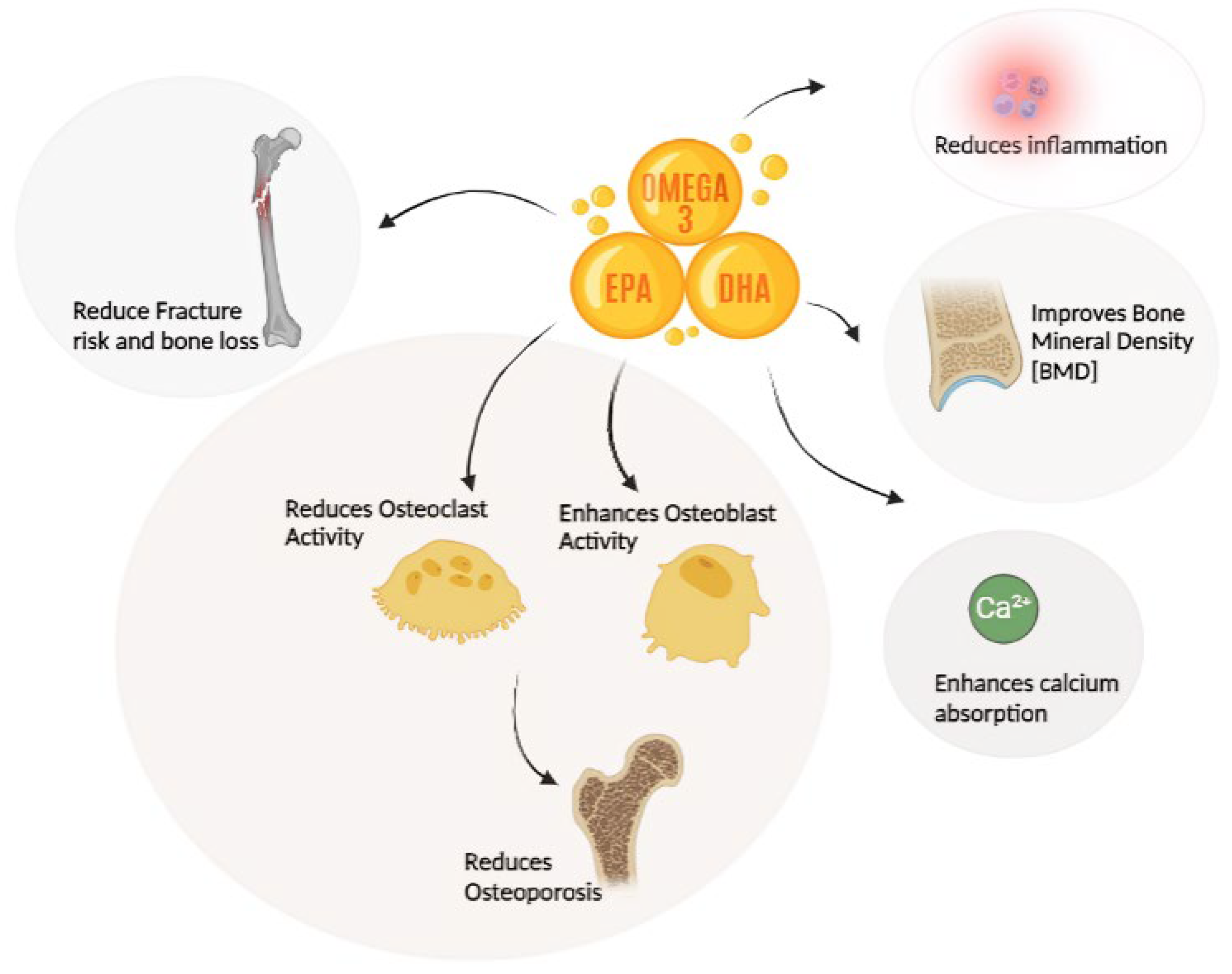 Preprints 119378 g002