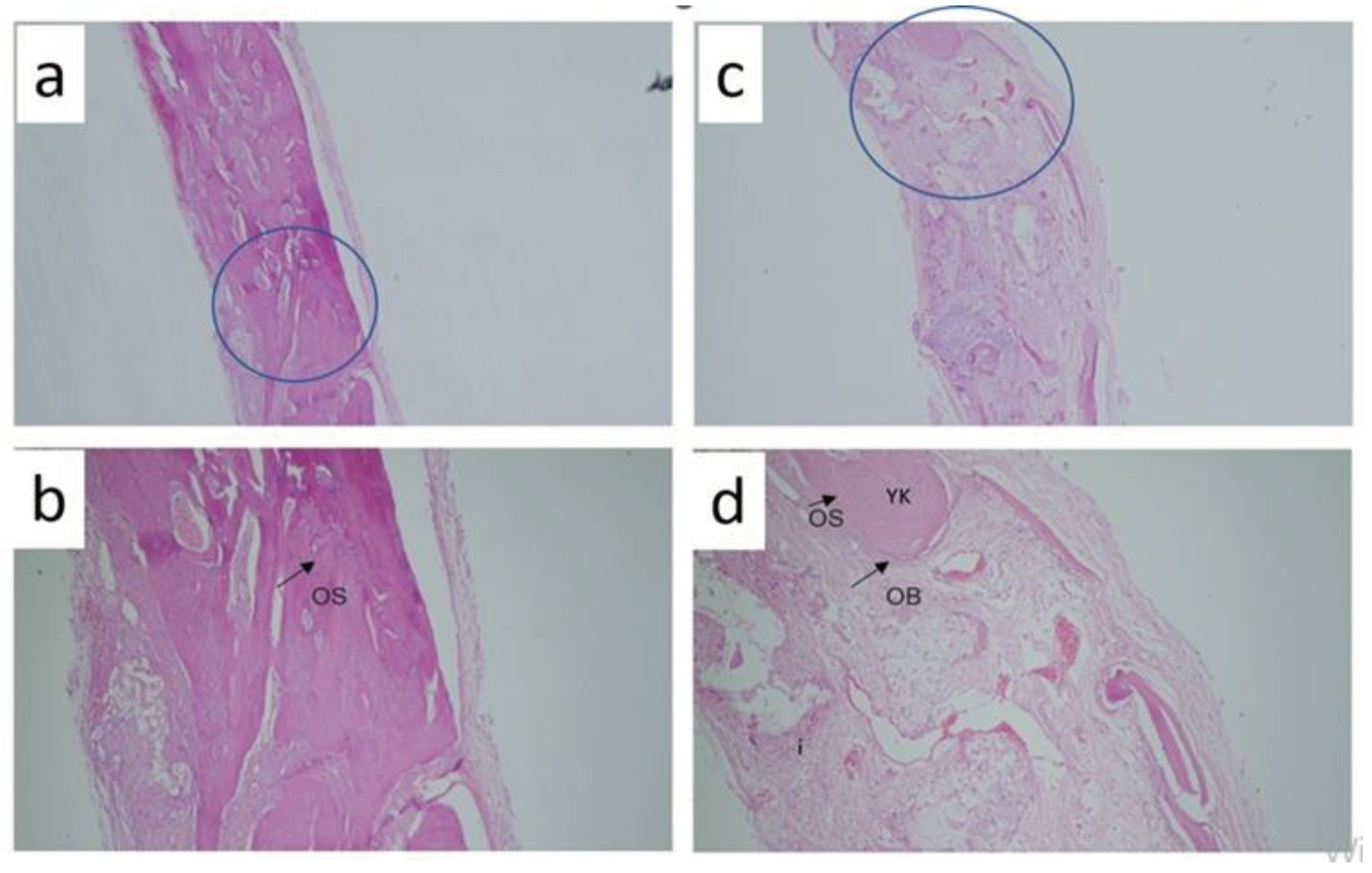 Preprints 102508 g001