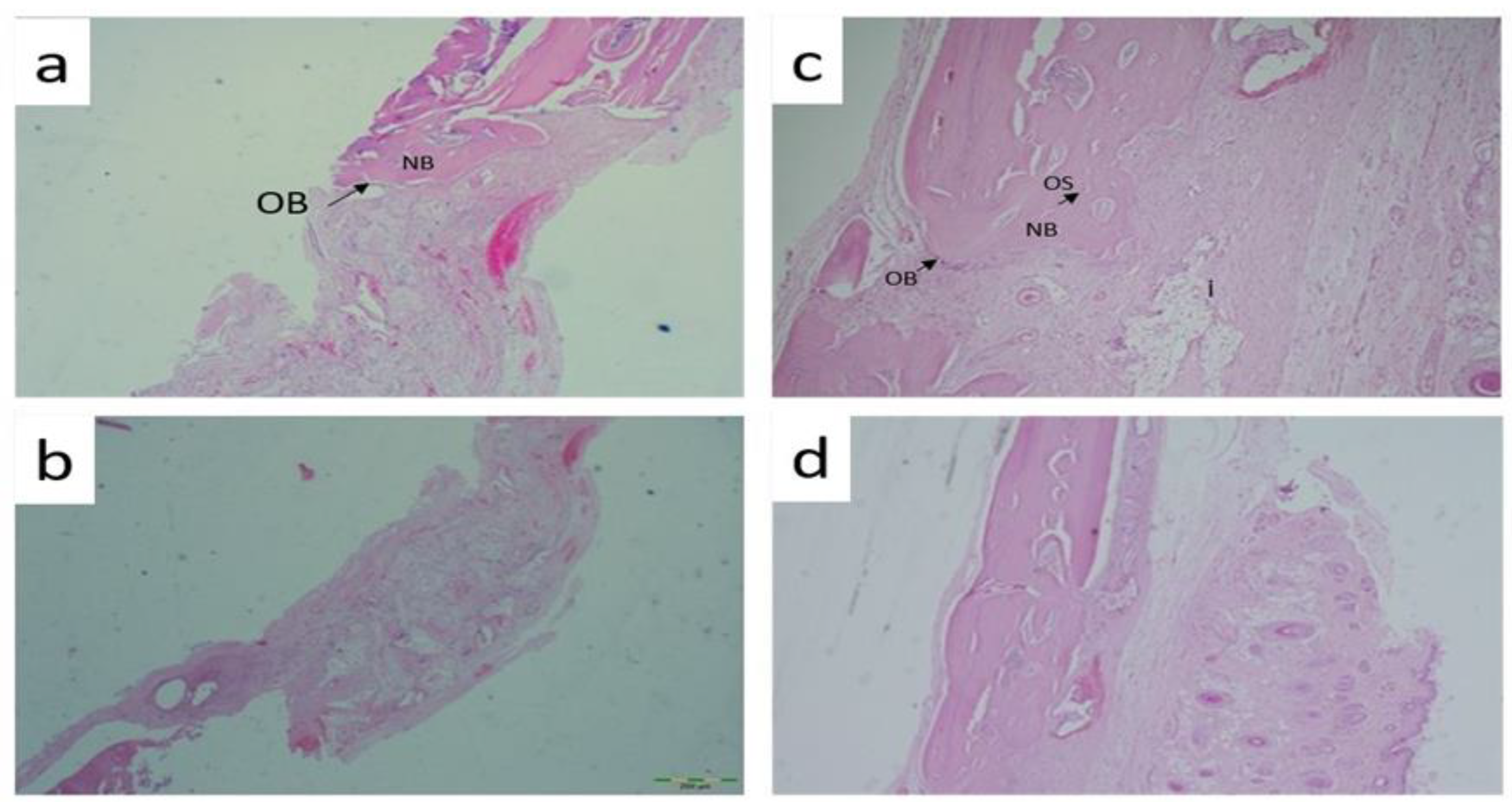 Preprints 102508 g002