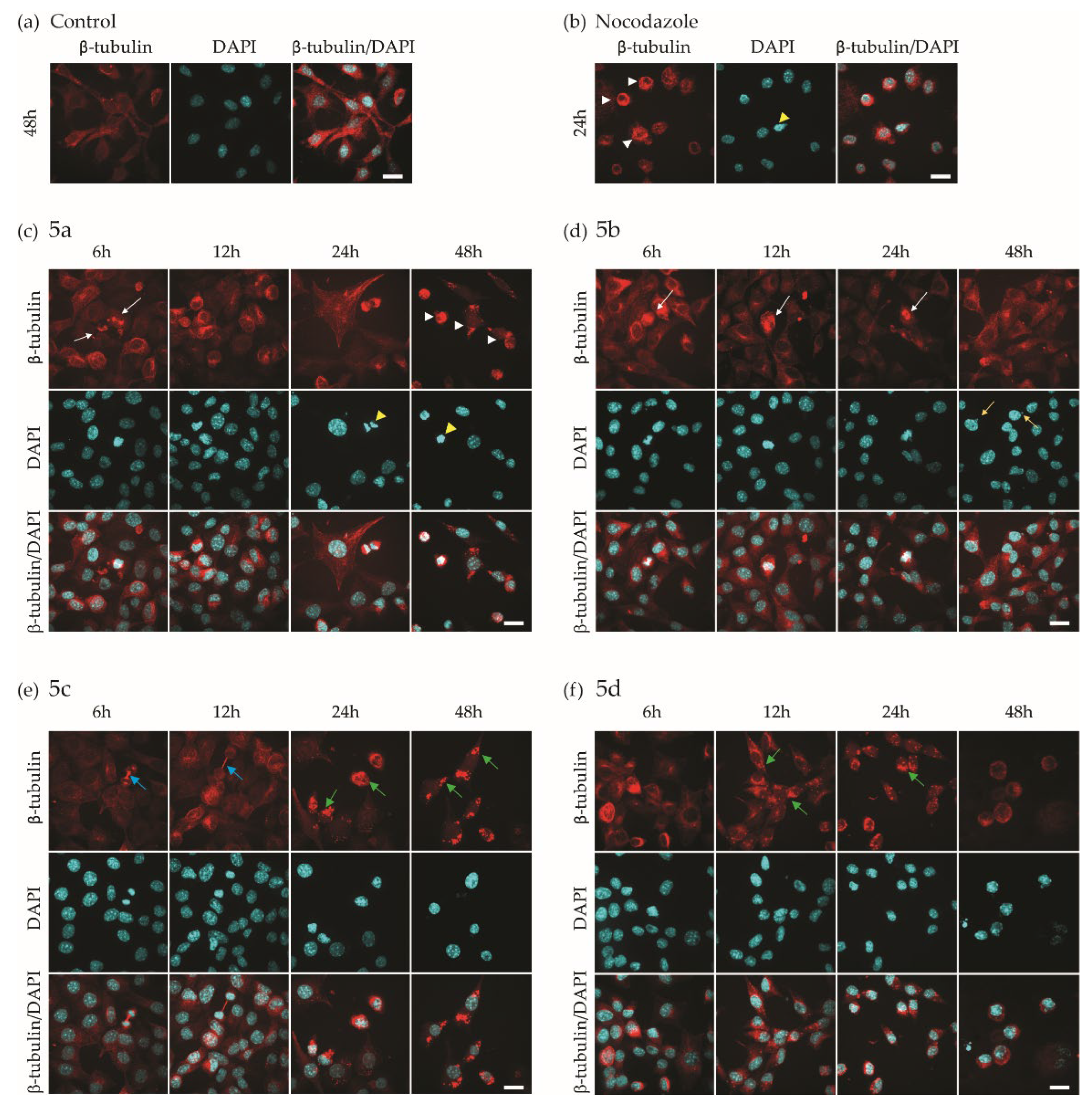 Preprints 101734 g005