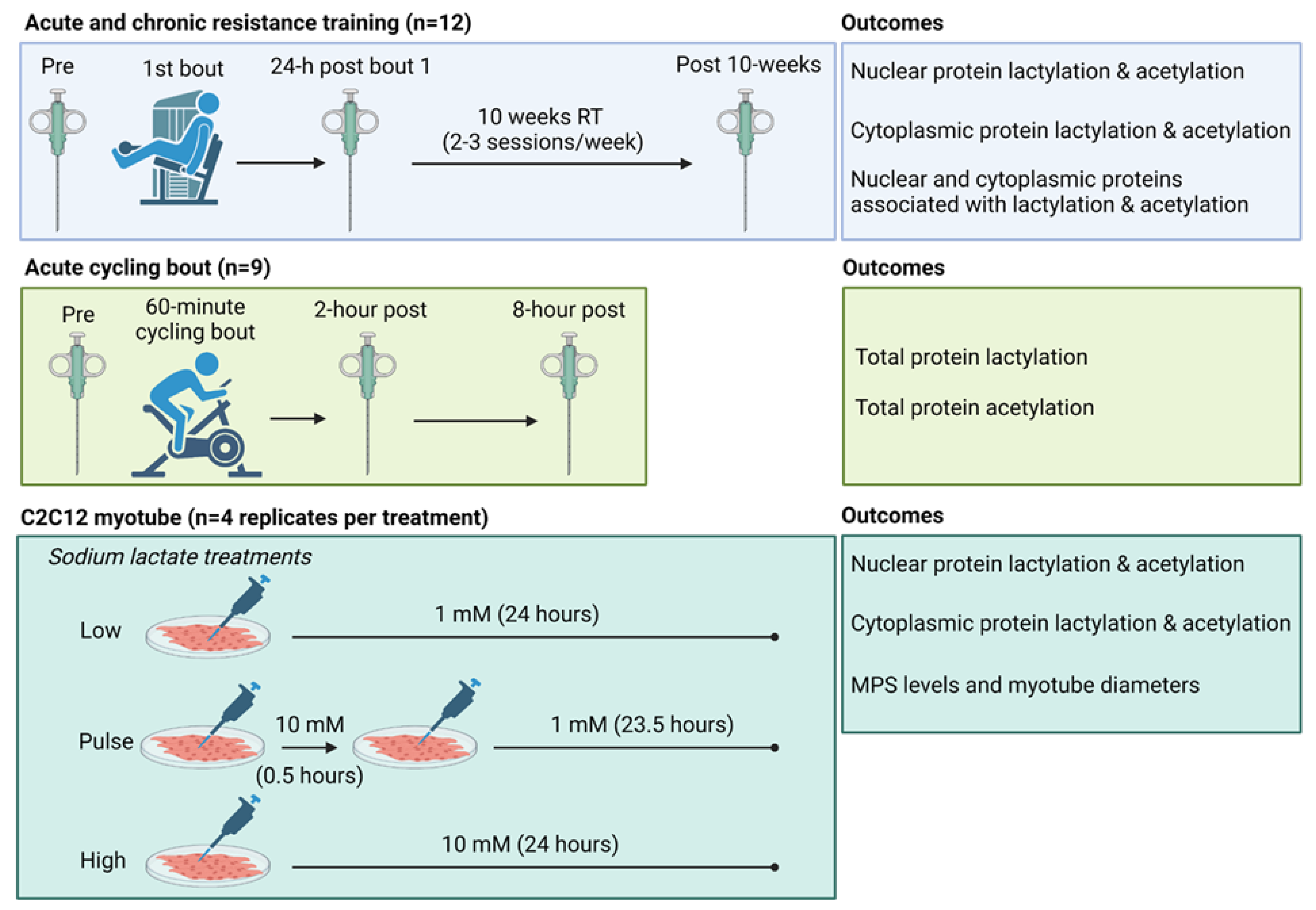 Preprints 120213 g001