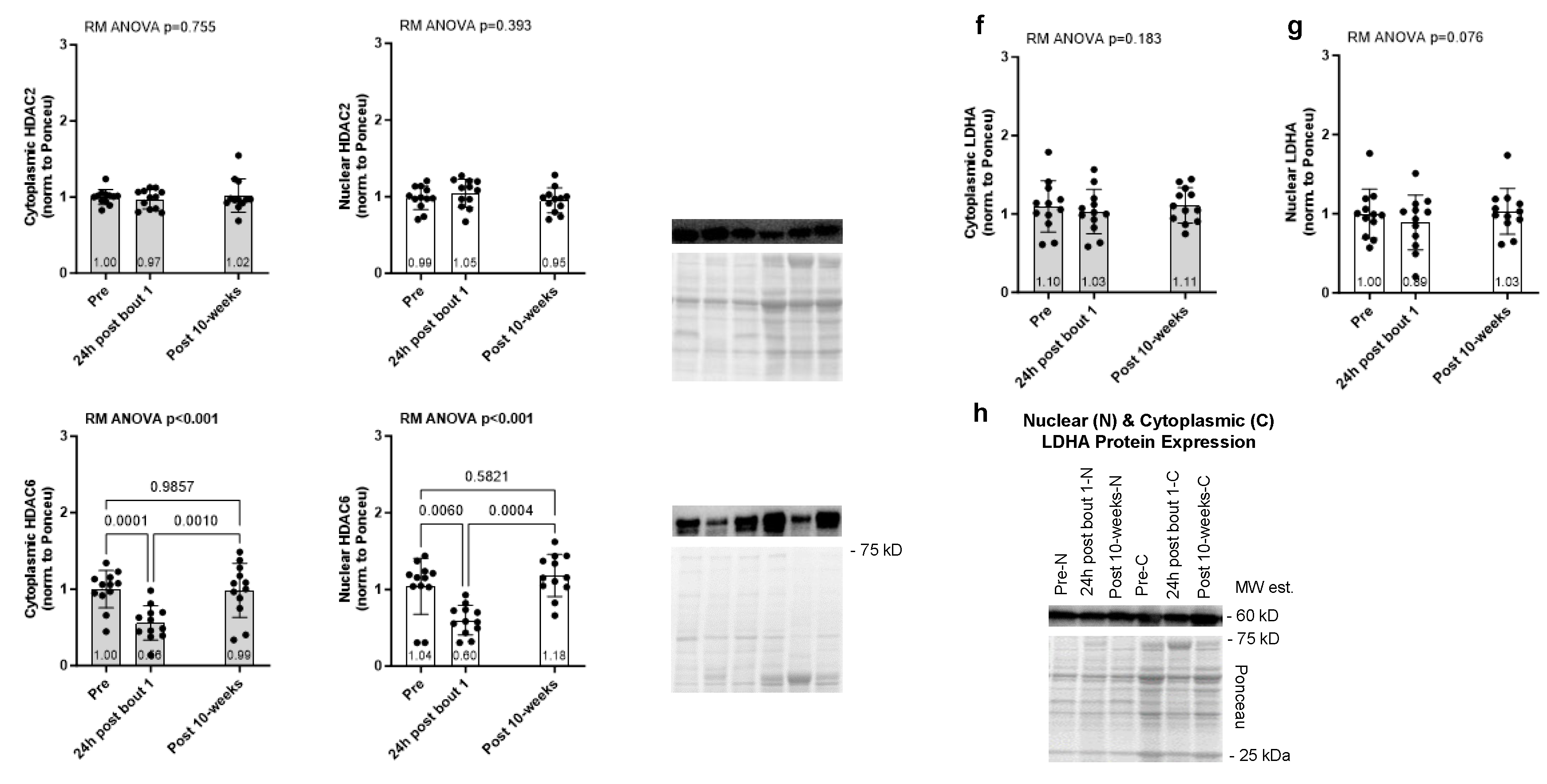 Preprints 120213 g003