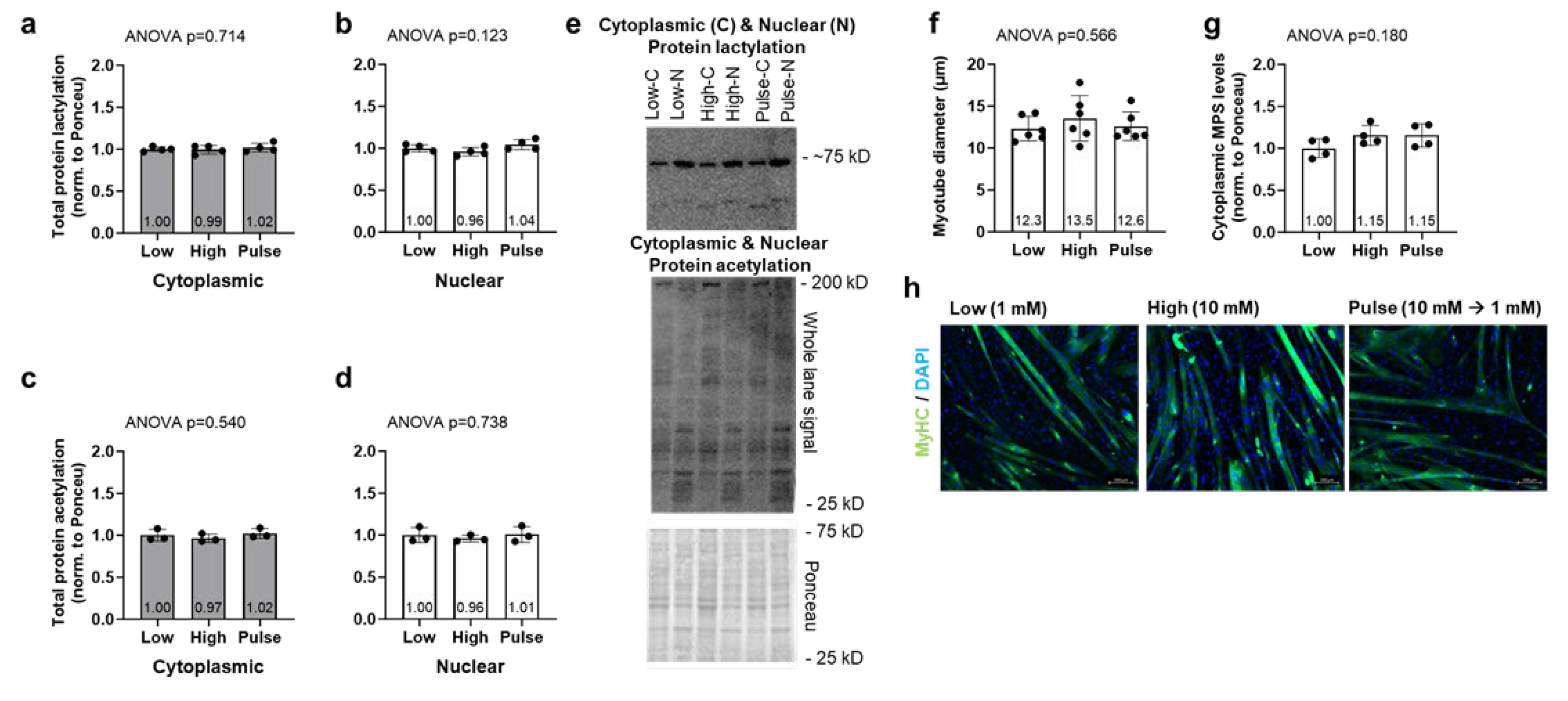 Preprints 120213 g005