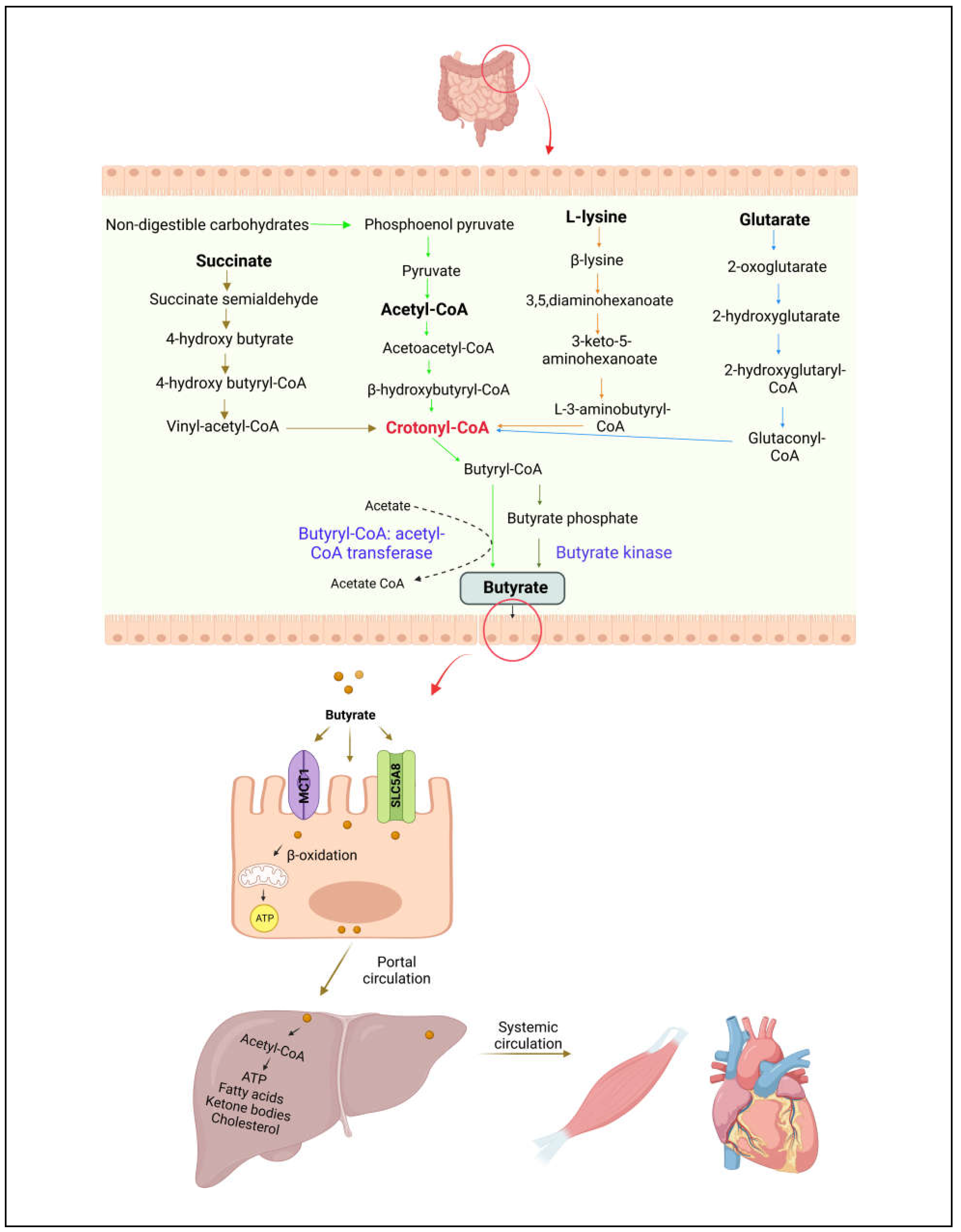 Preprints 71208 g002