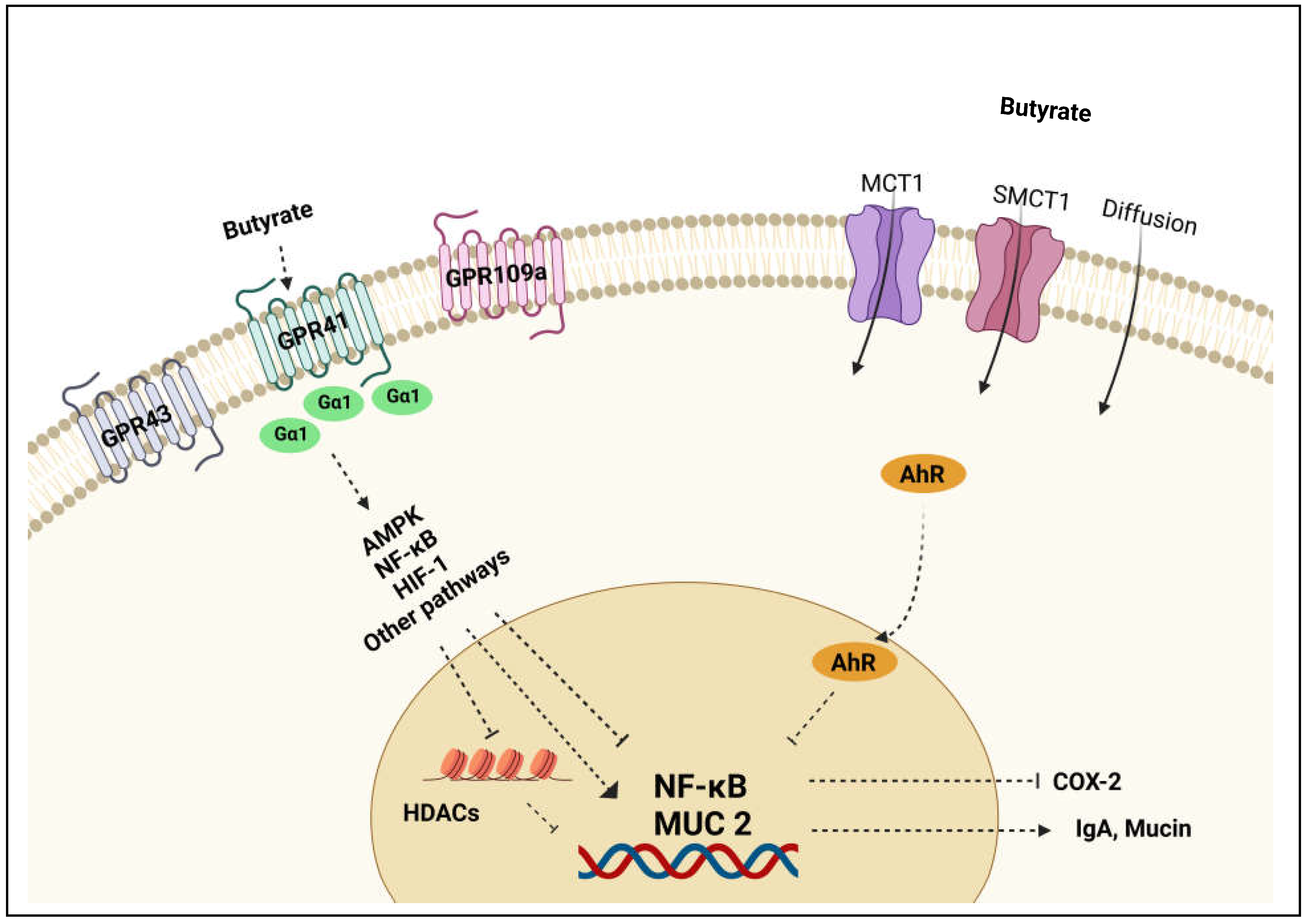 Preprints 71208 g003