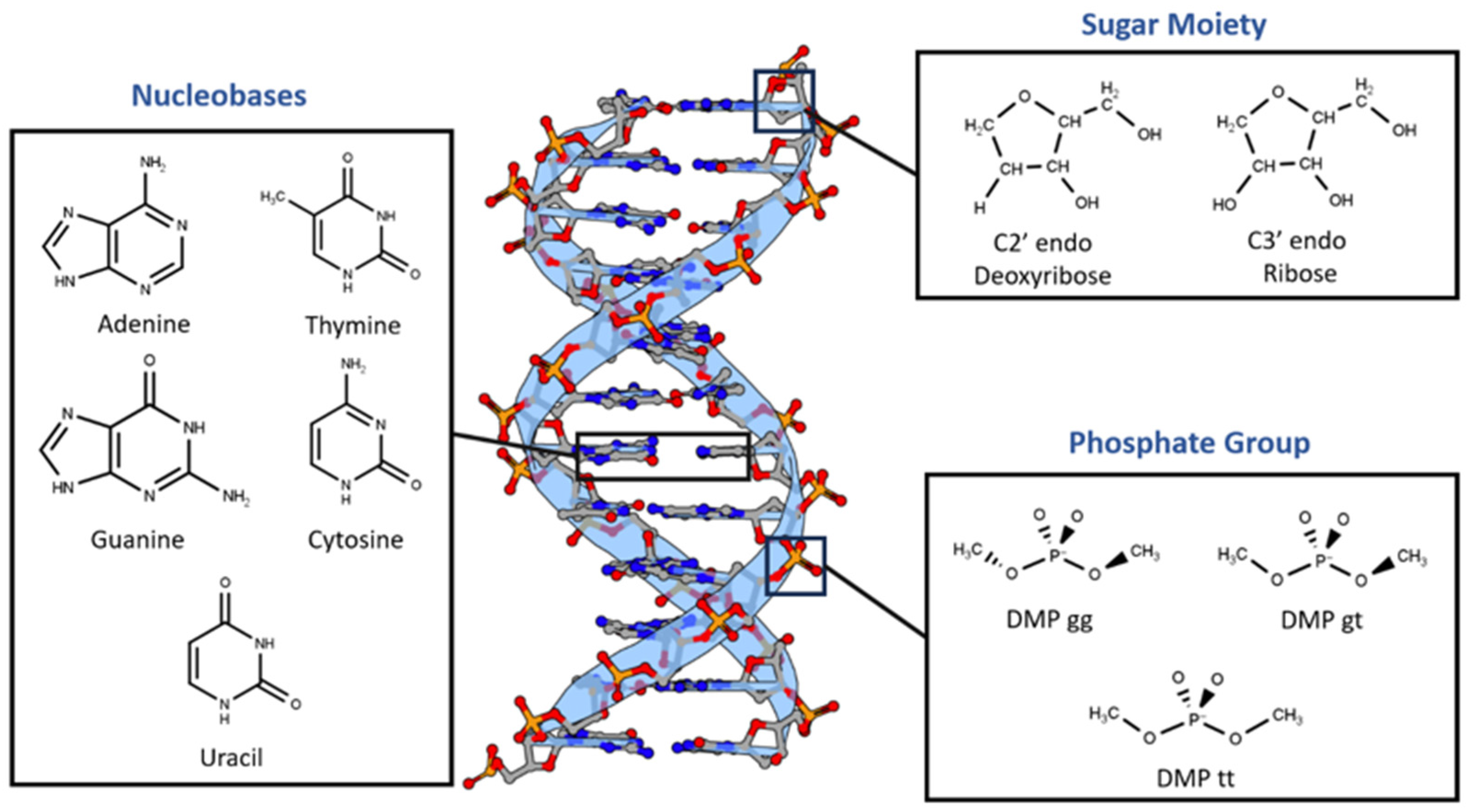 Preprints 108374 g001