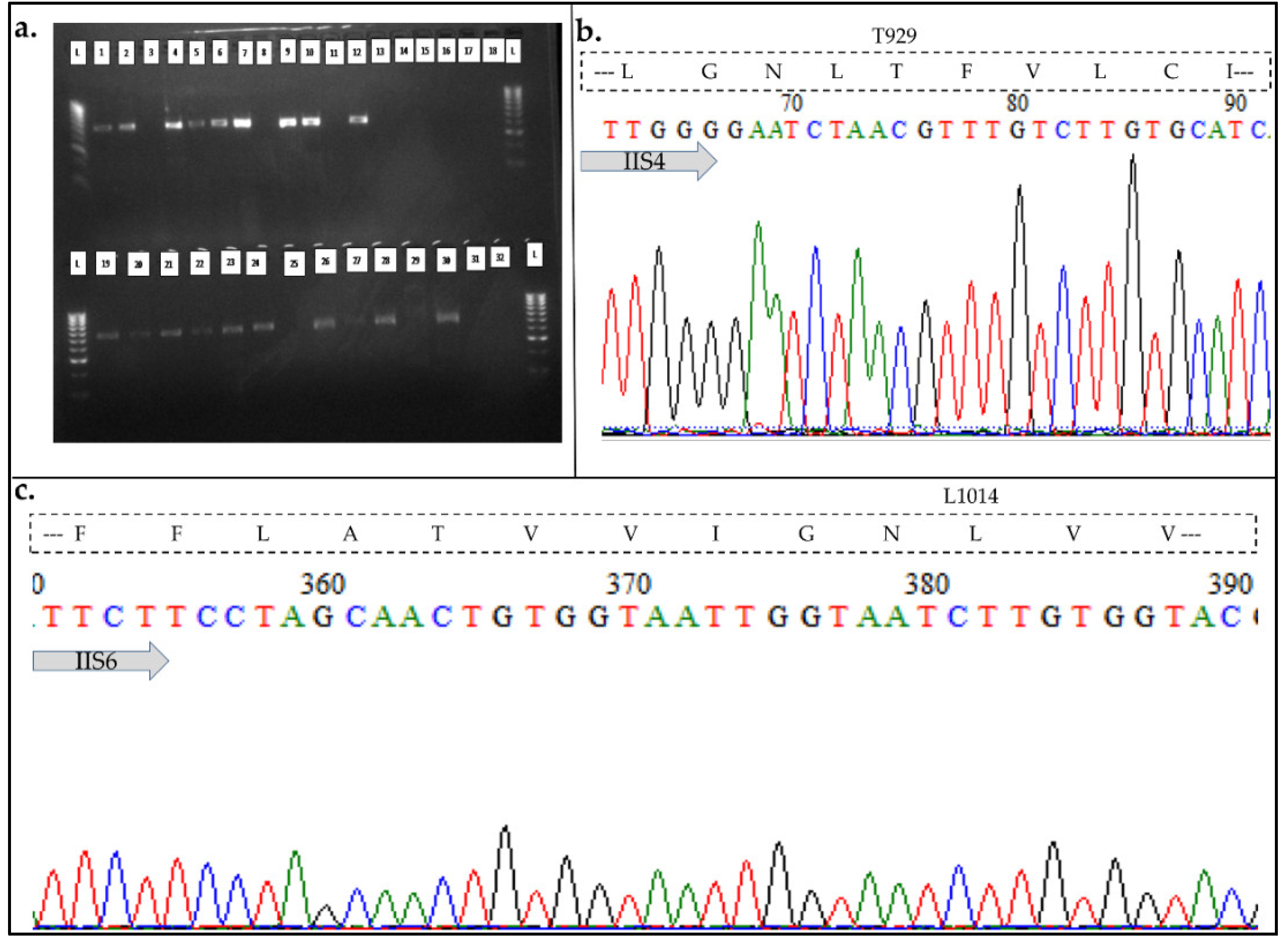 Preprints 68046 g002