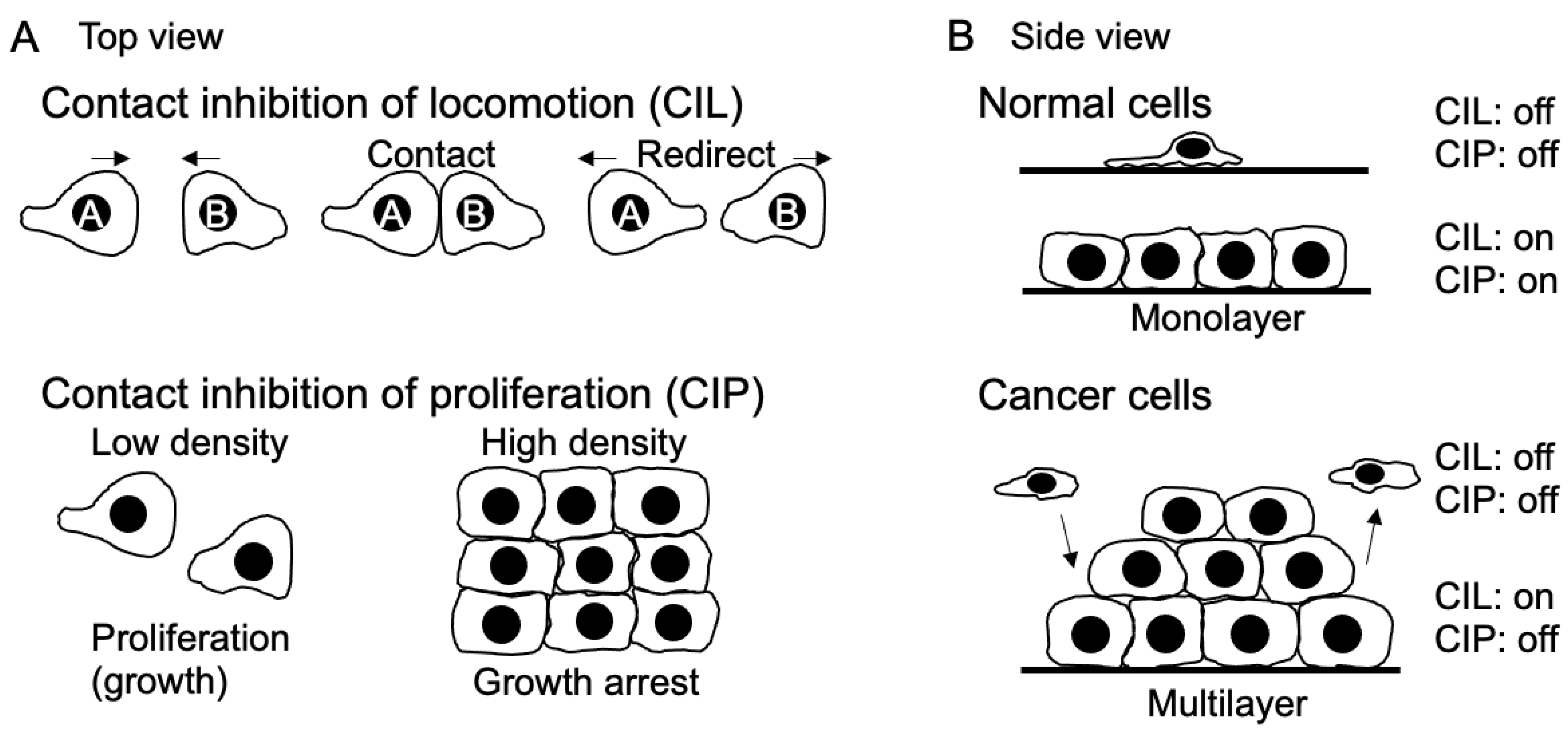 Preprints 93795 g001