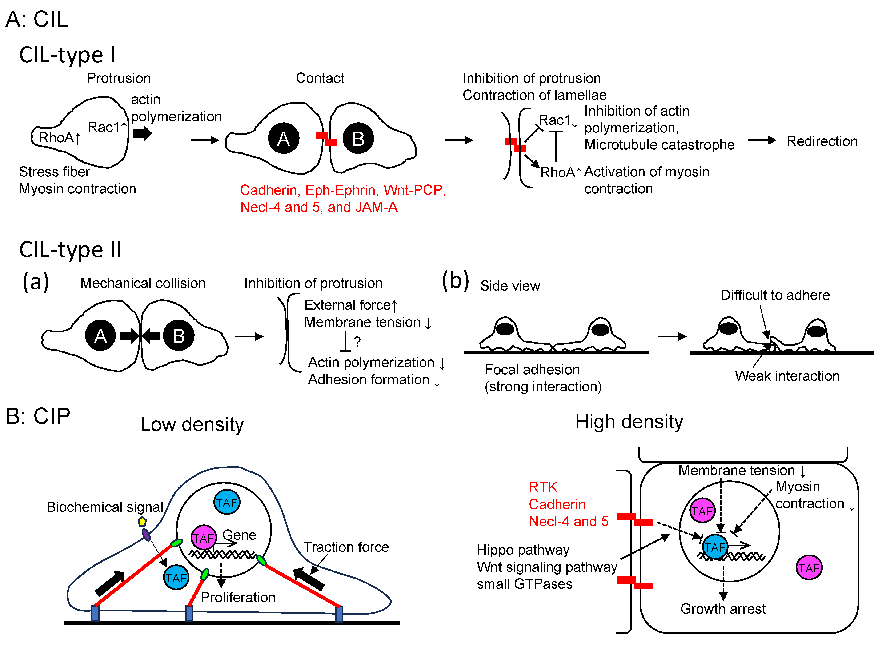 Preprints 93795 g002