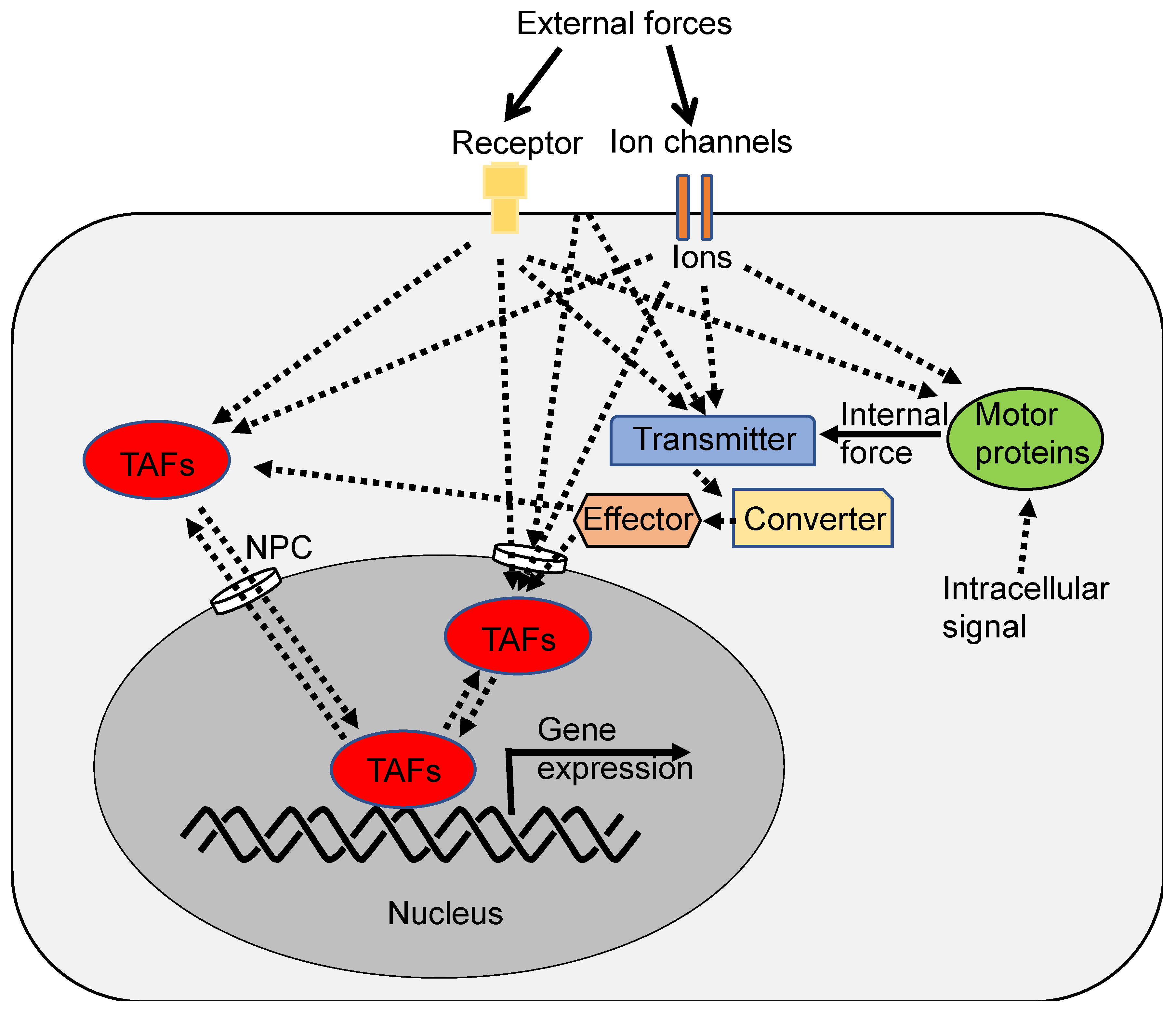 Preprints 93795 g004