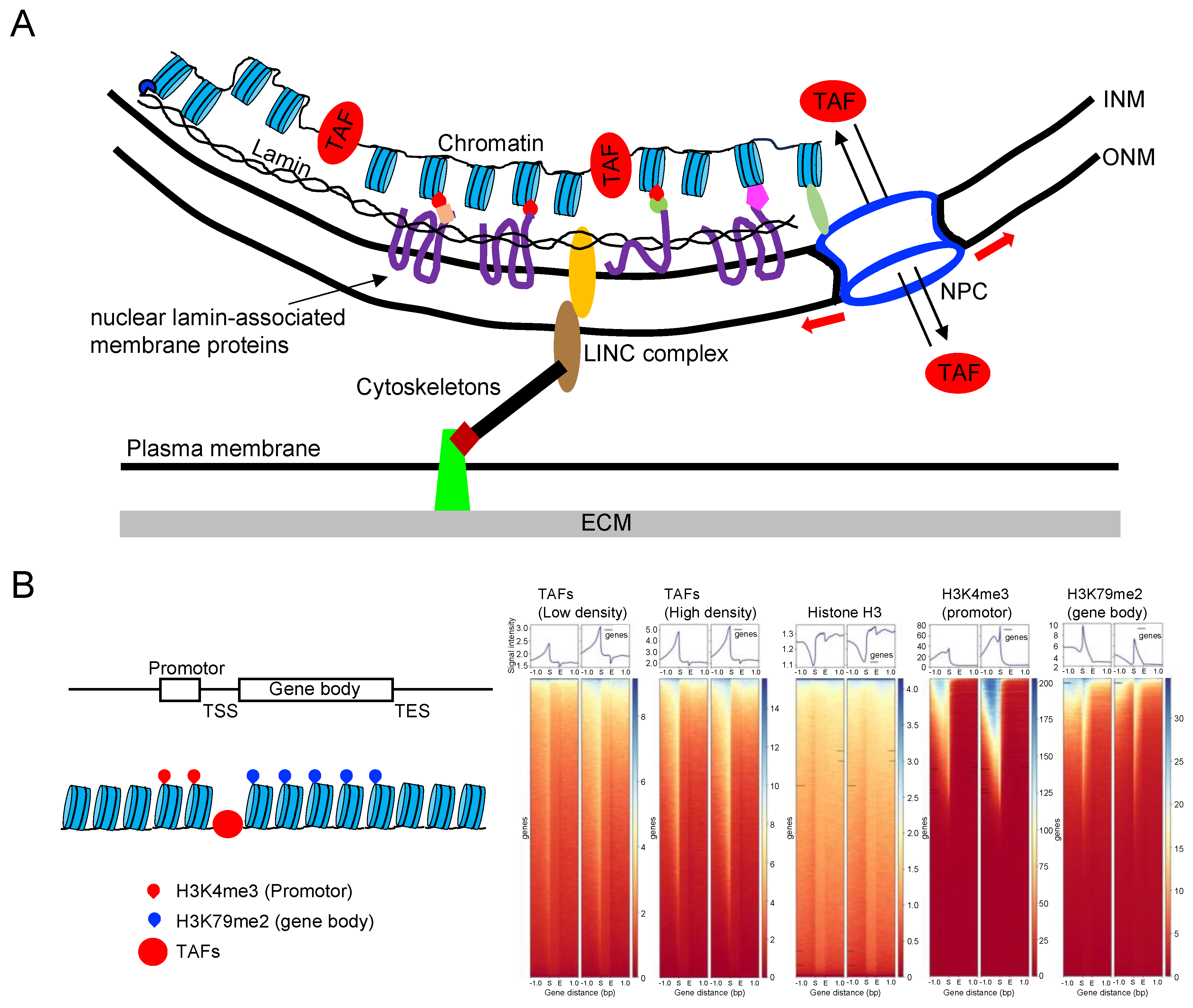 Preprints 93795 g005