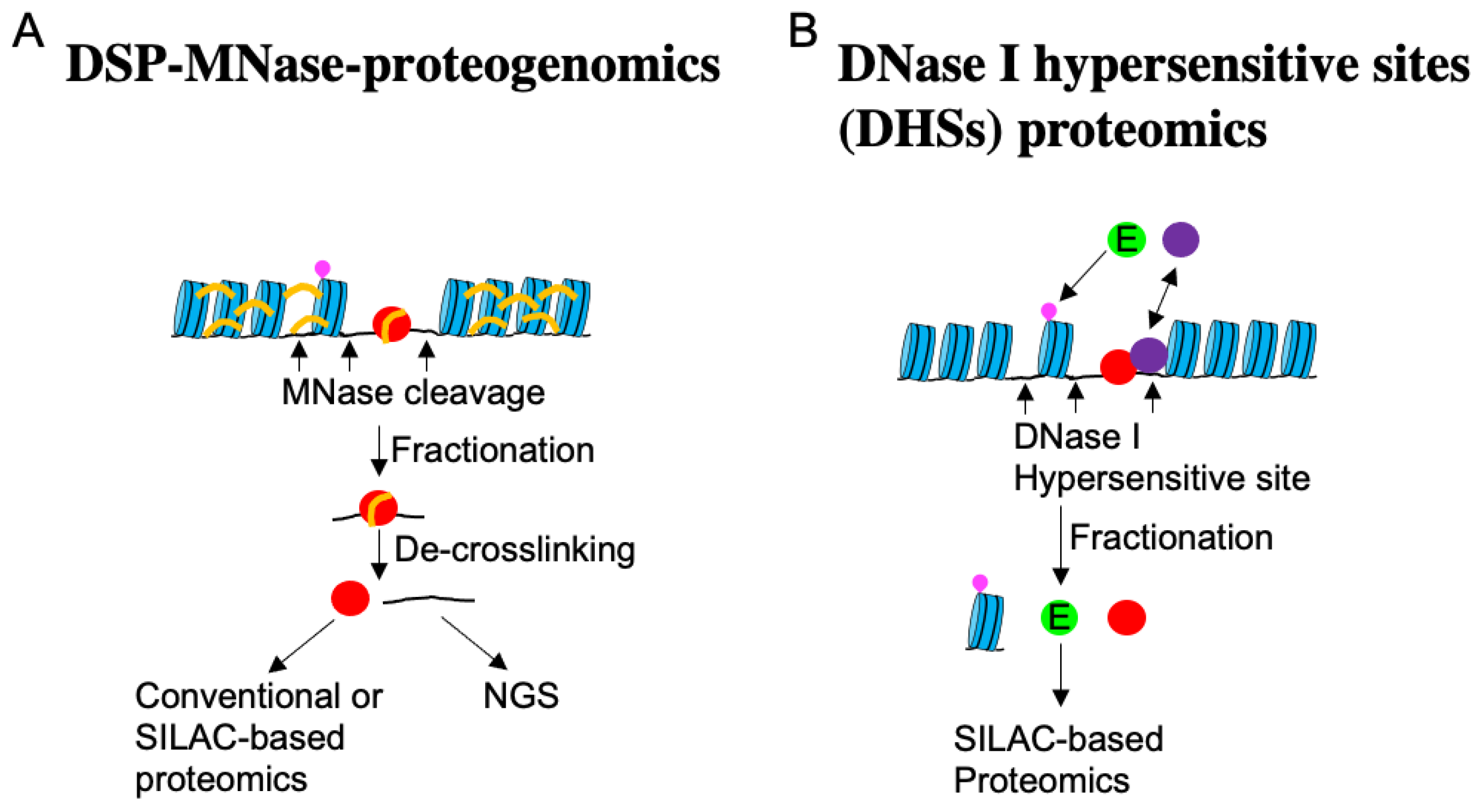 Preprints 93795 g006