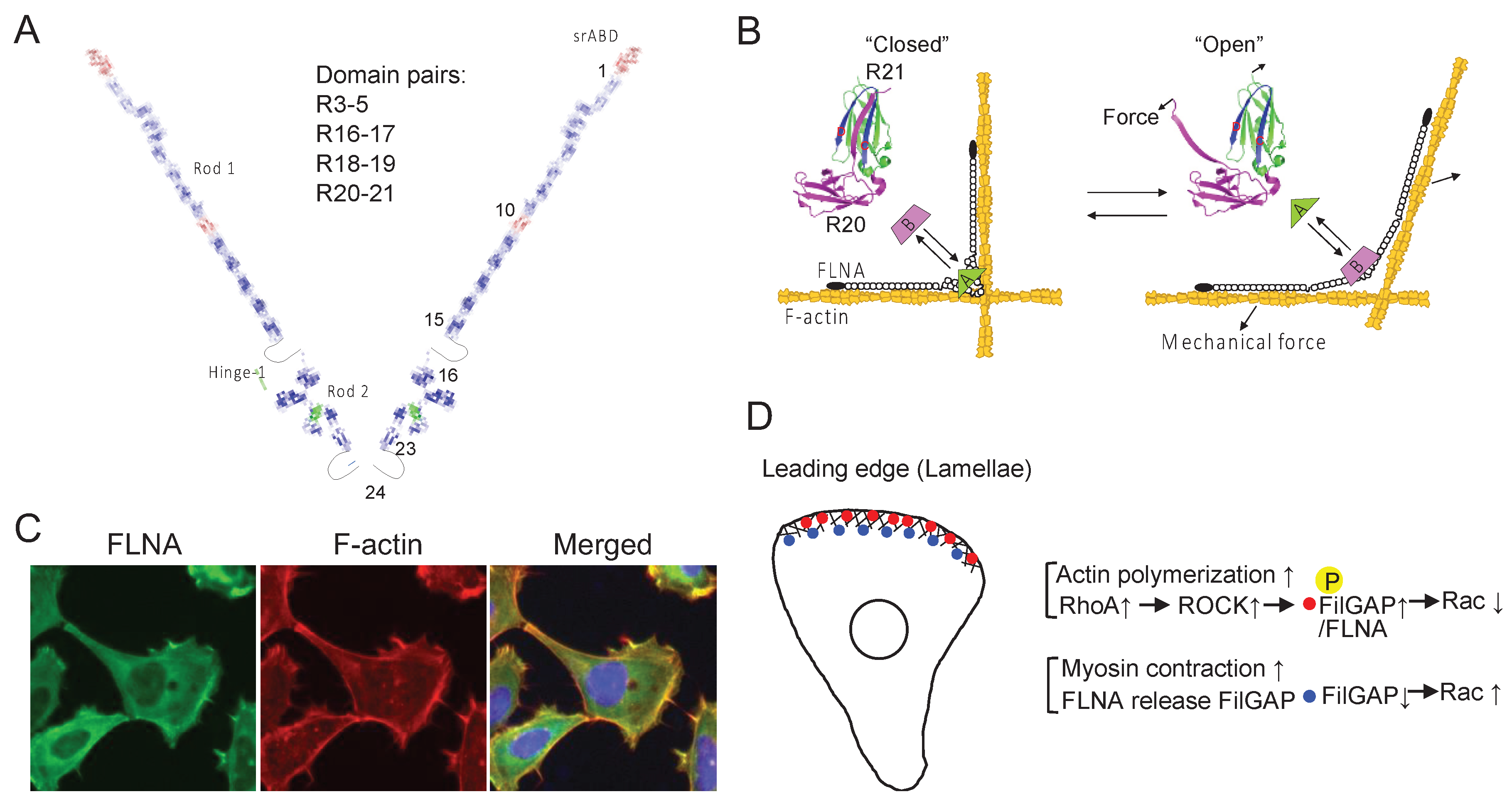 Preprints 93795 g007