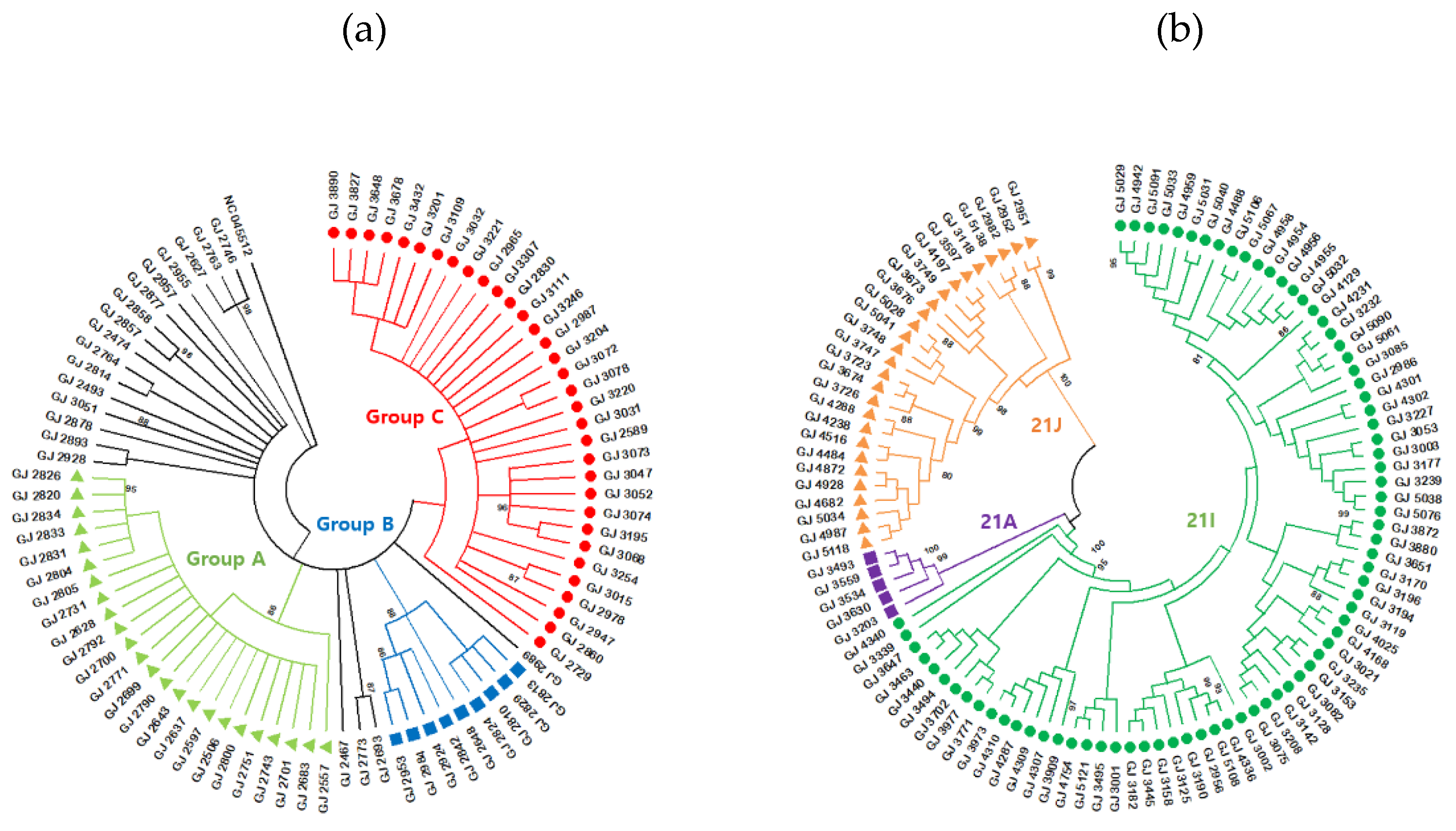 Preprints 88204 g003