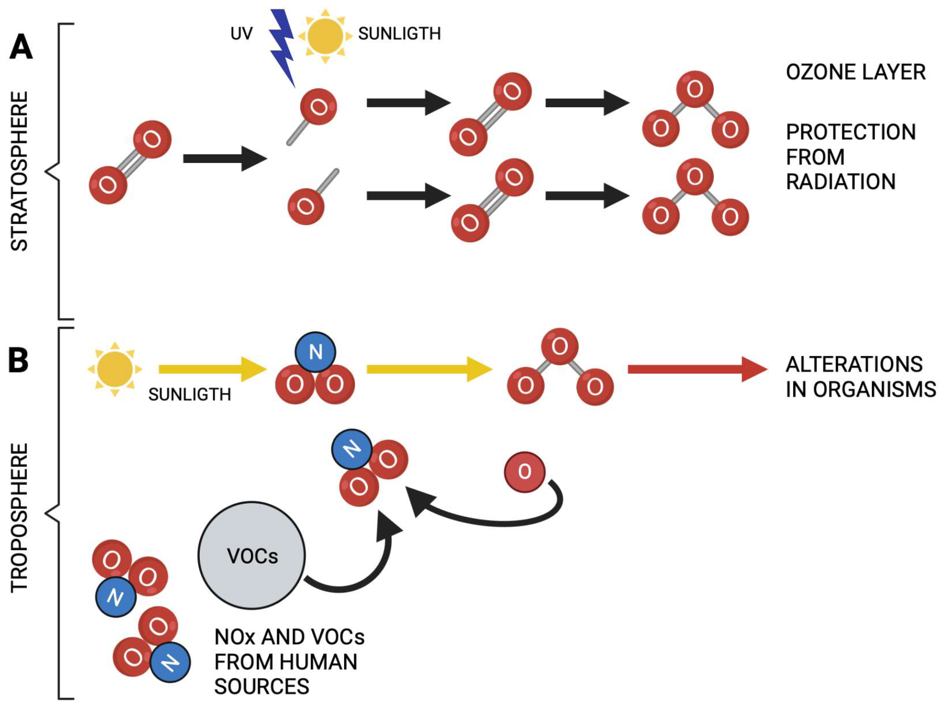 Preprints 72884 g001