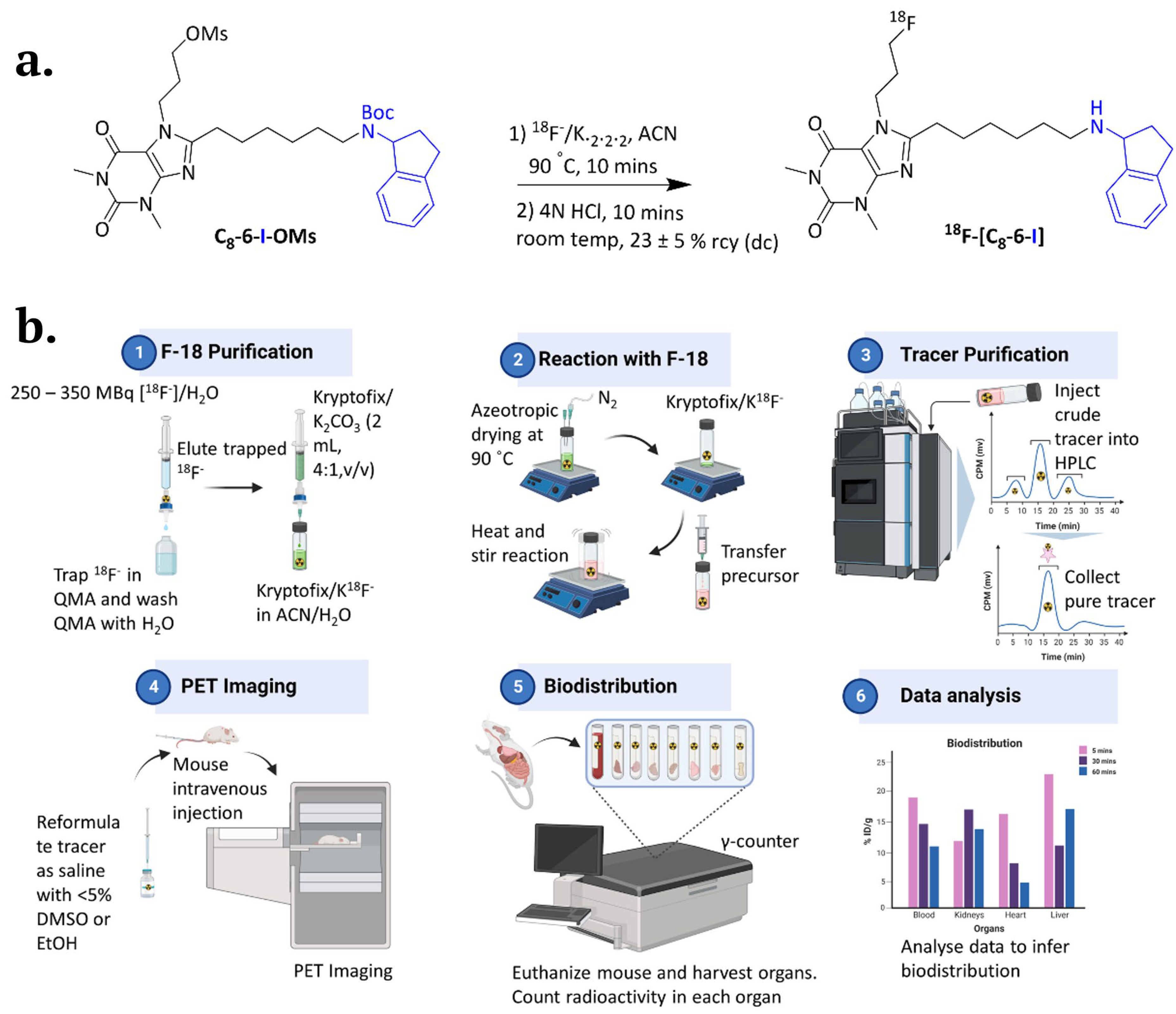 Preprints 109155 g001