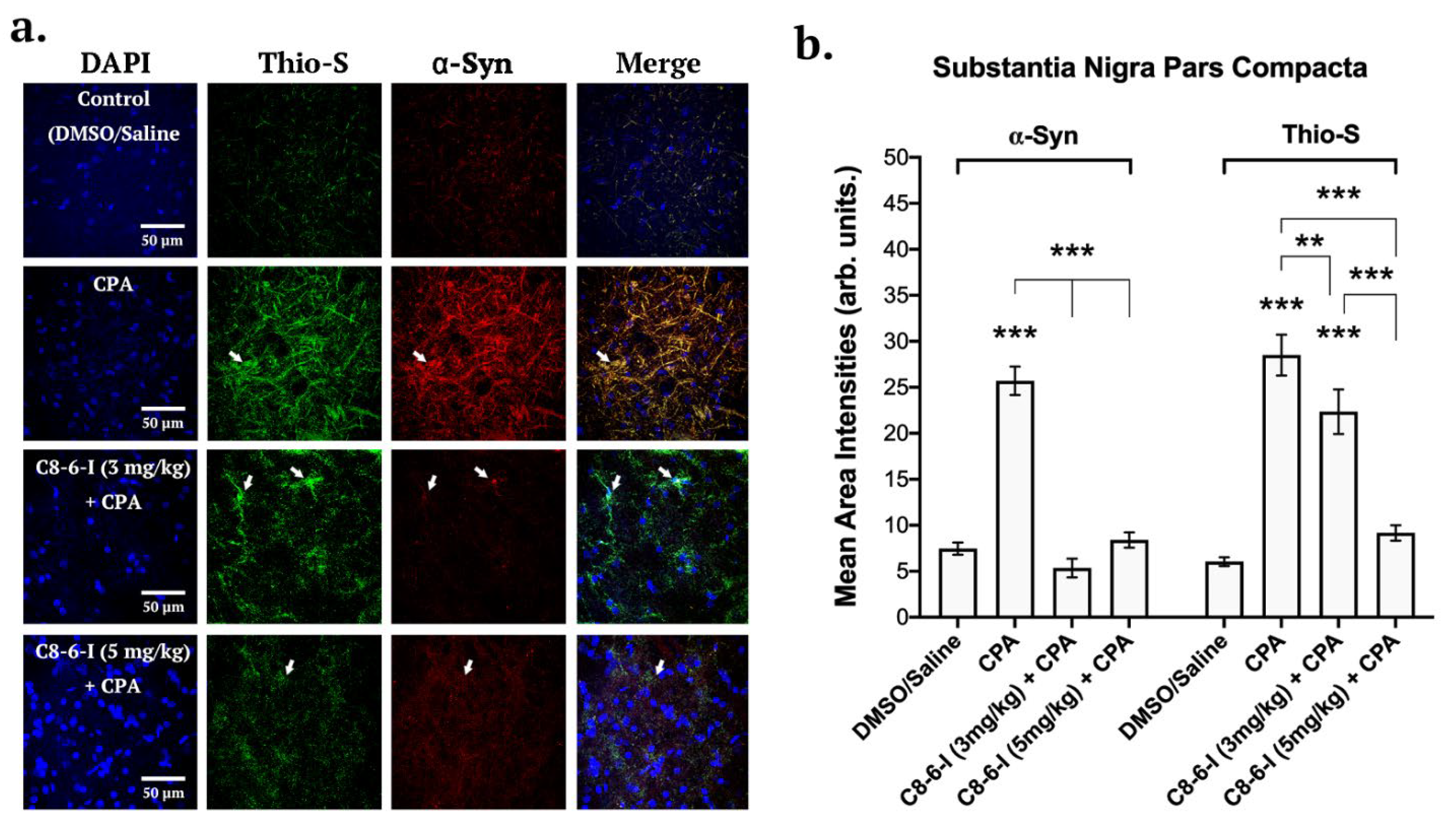 Preprints 109155 g005