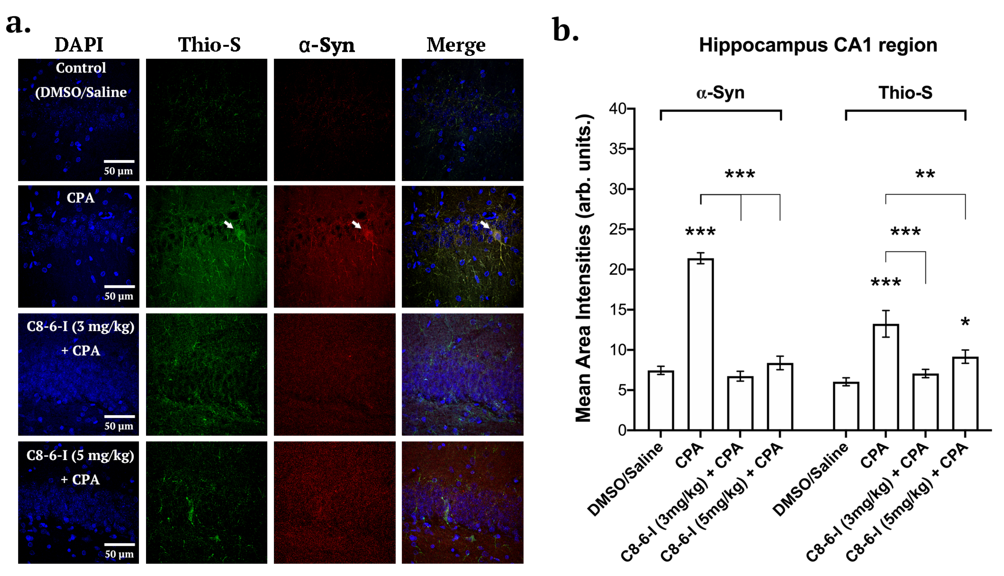 Preprints 109155 g006