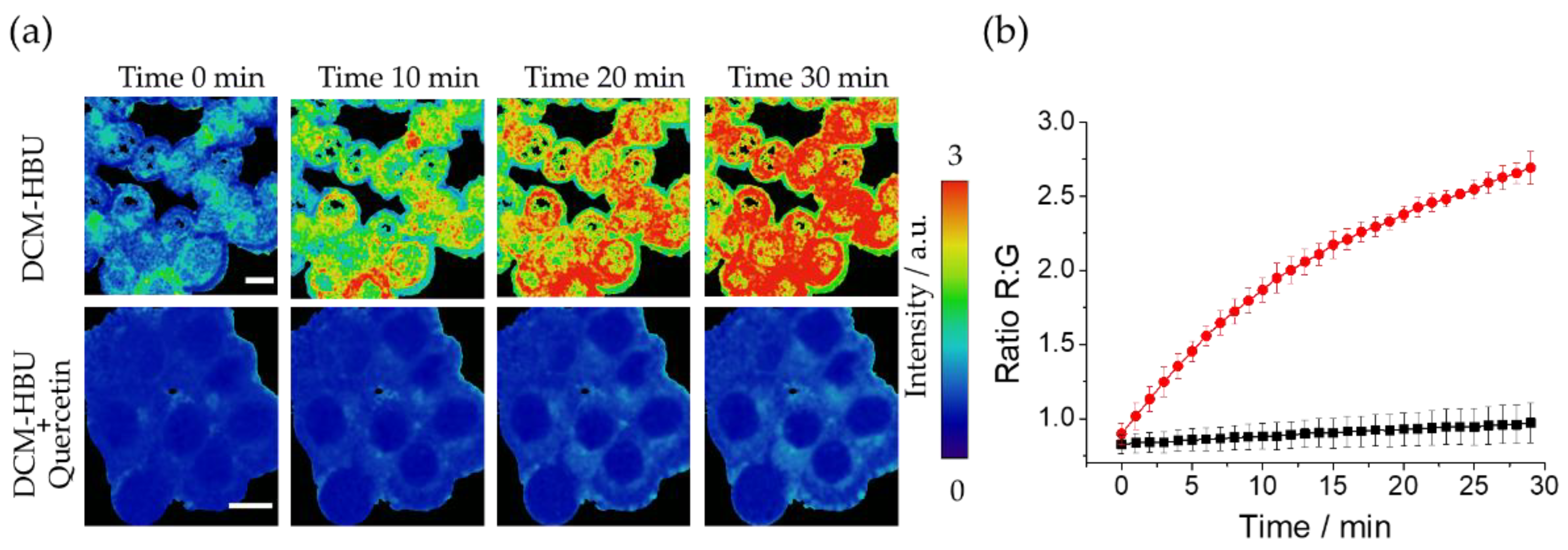 Preprints 67672 g005