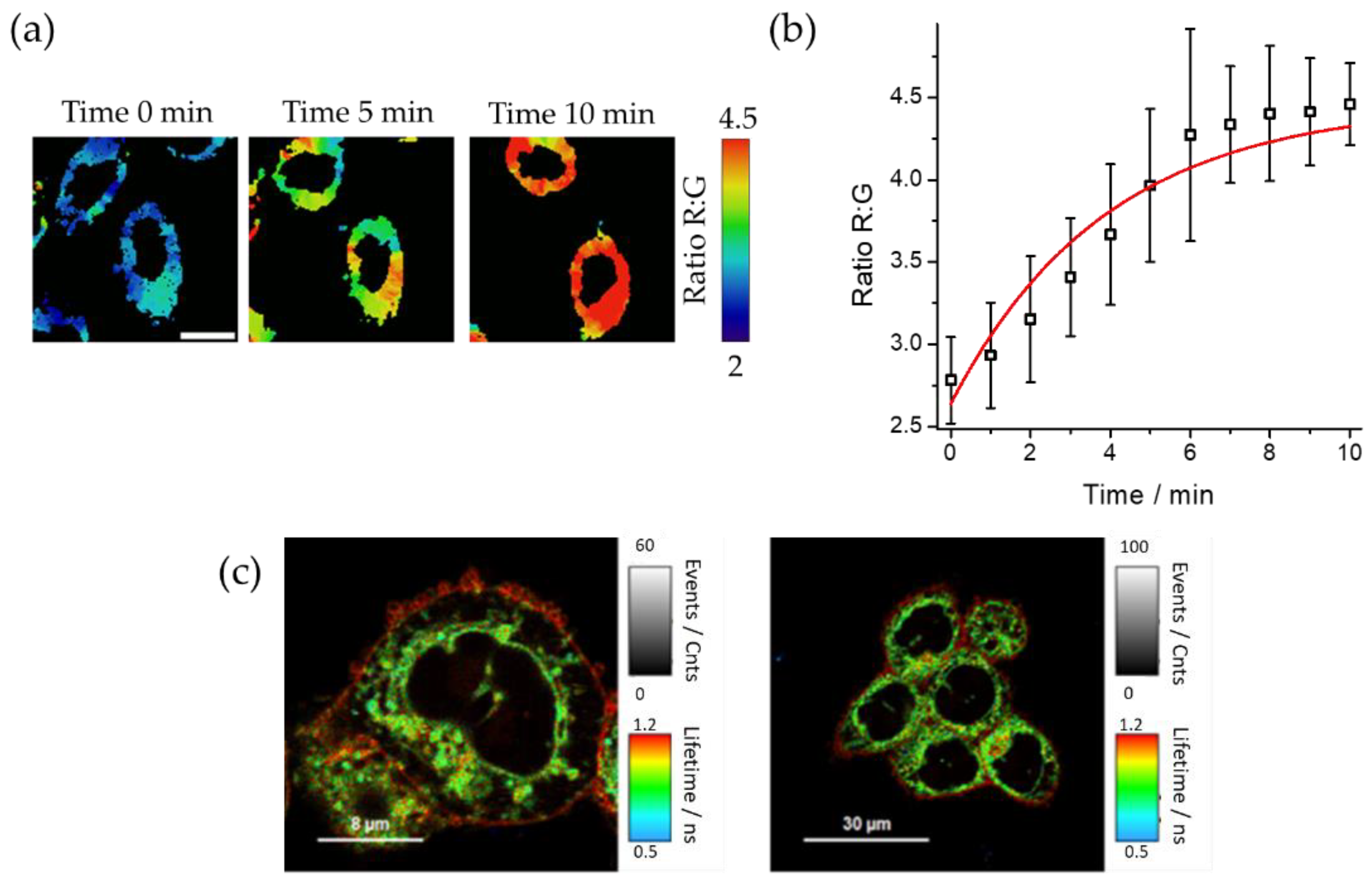 Preprints 67672 g006