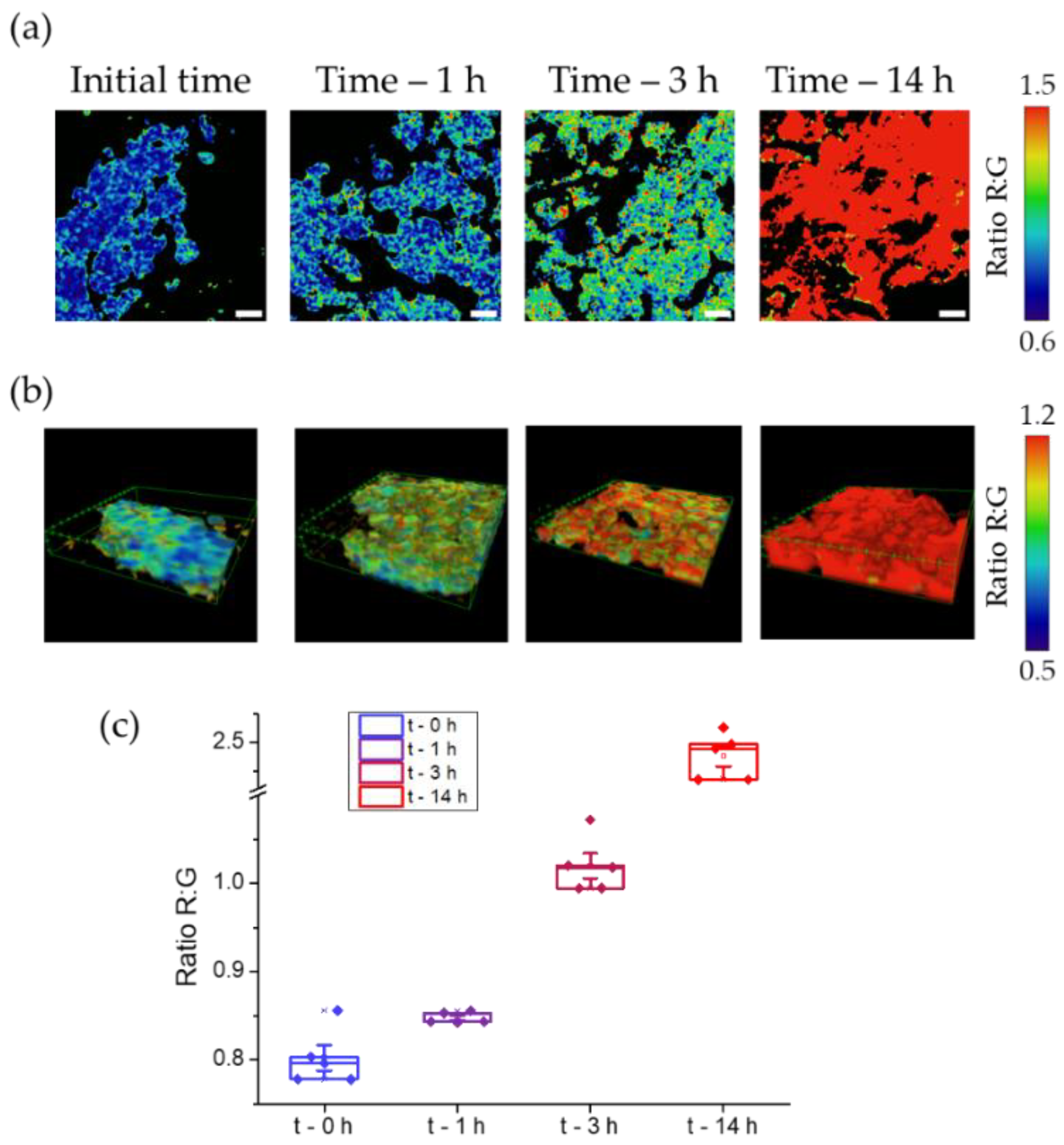 Preprints 67672 g007