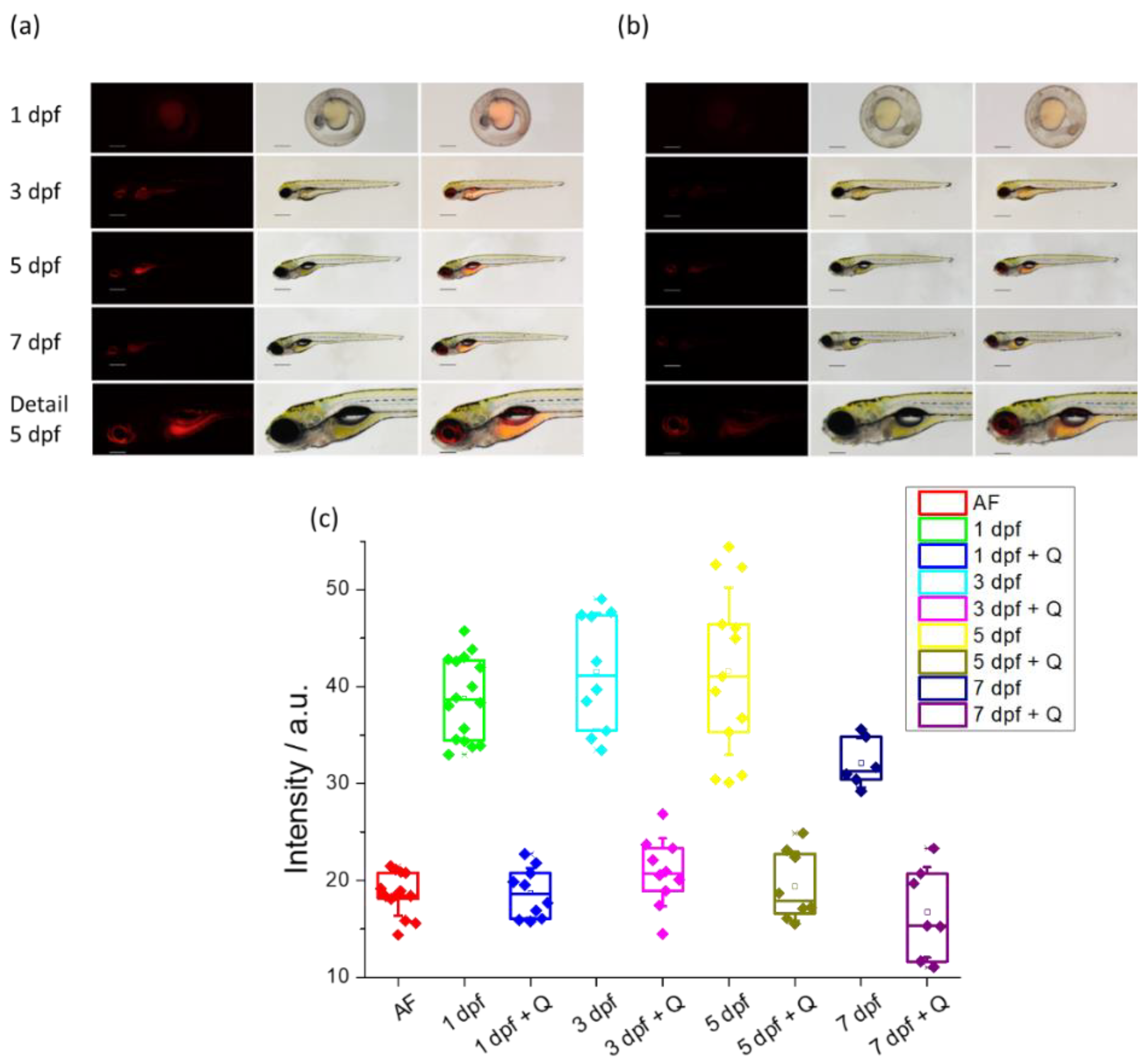 Preprints 67672 g008