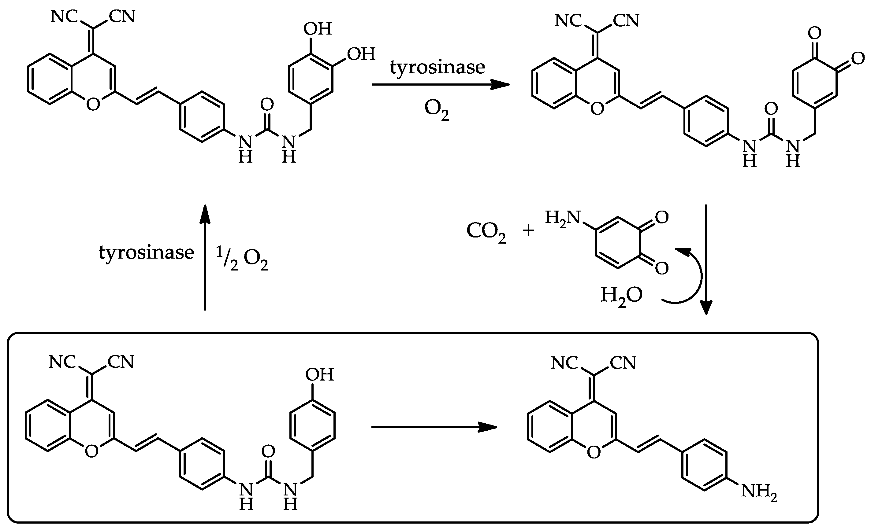 Preprints 67672 sch002