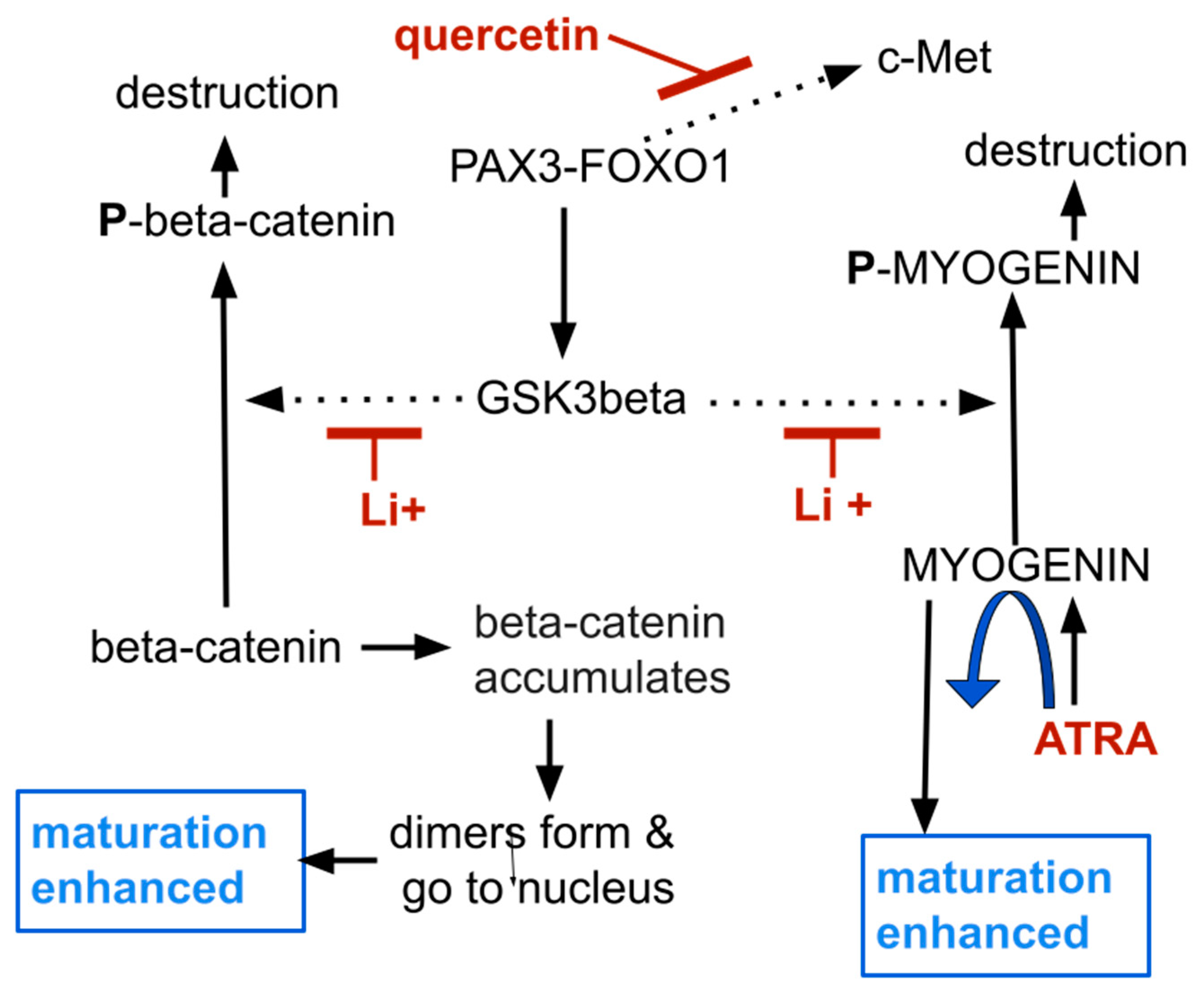 Preprints 86396 g001