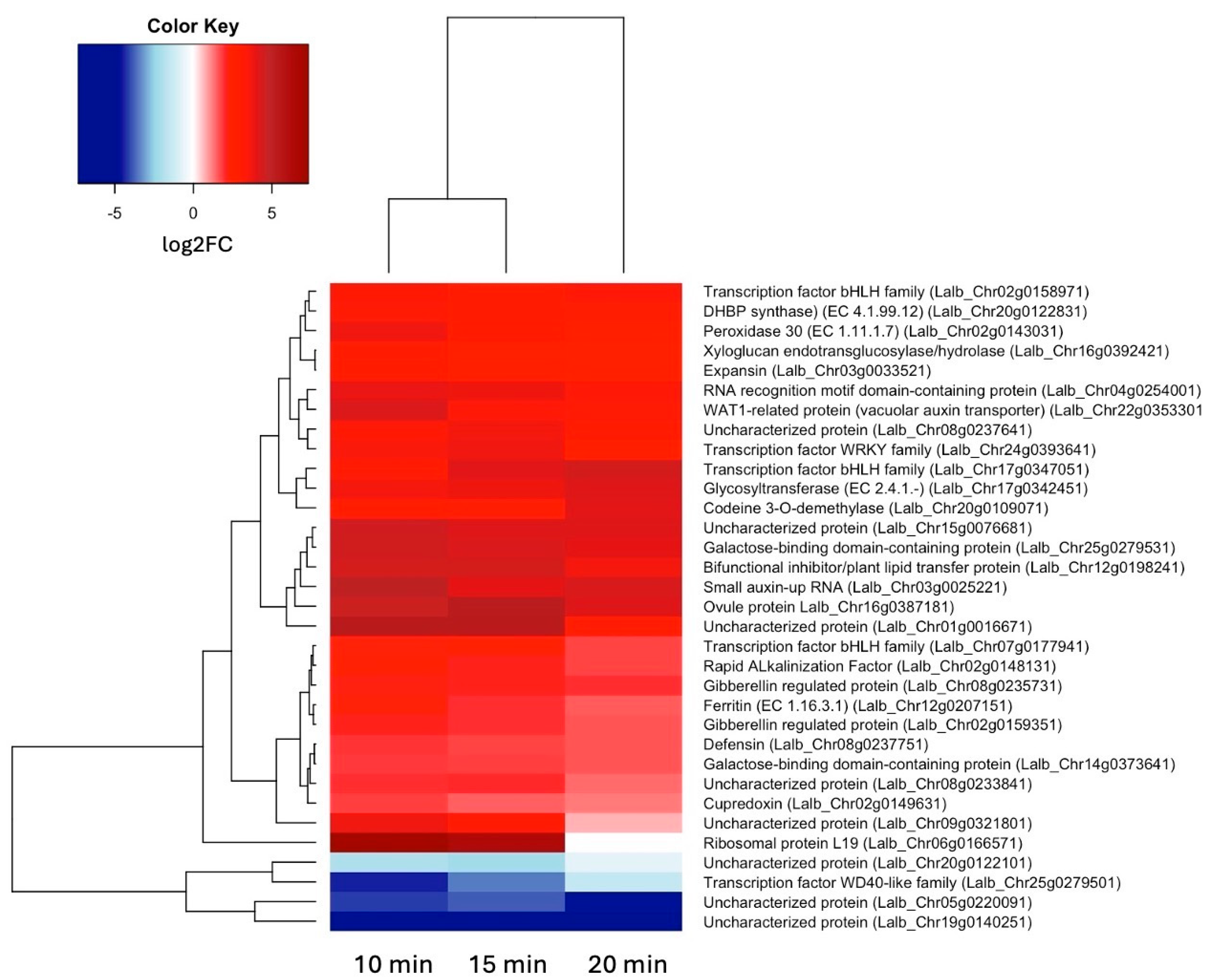 Preprints 107646 g003