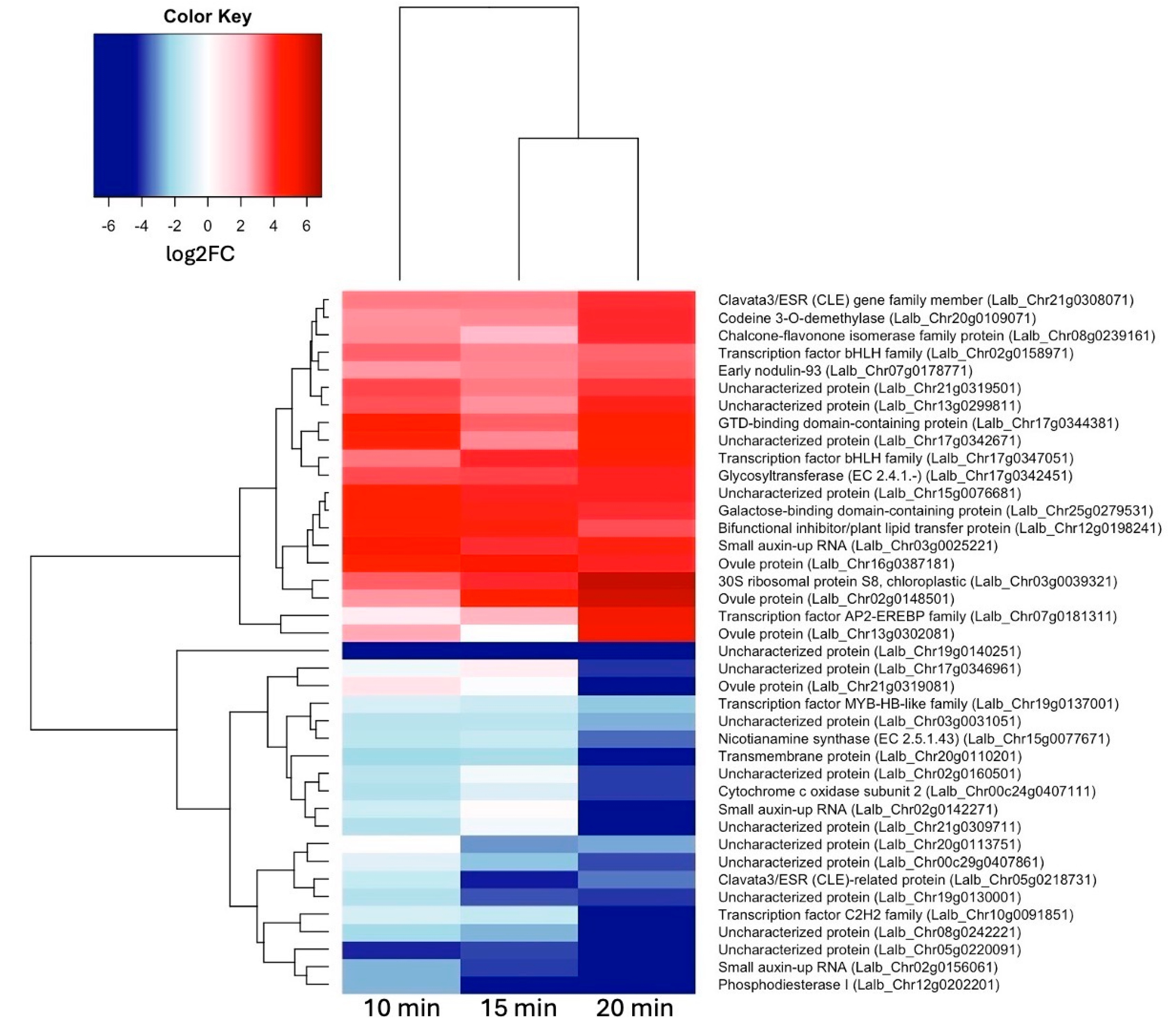 Preprints 107646 g004