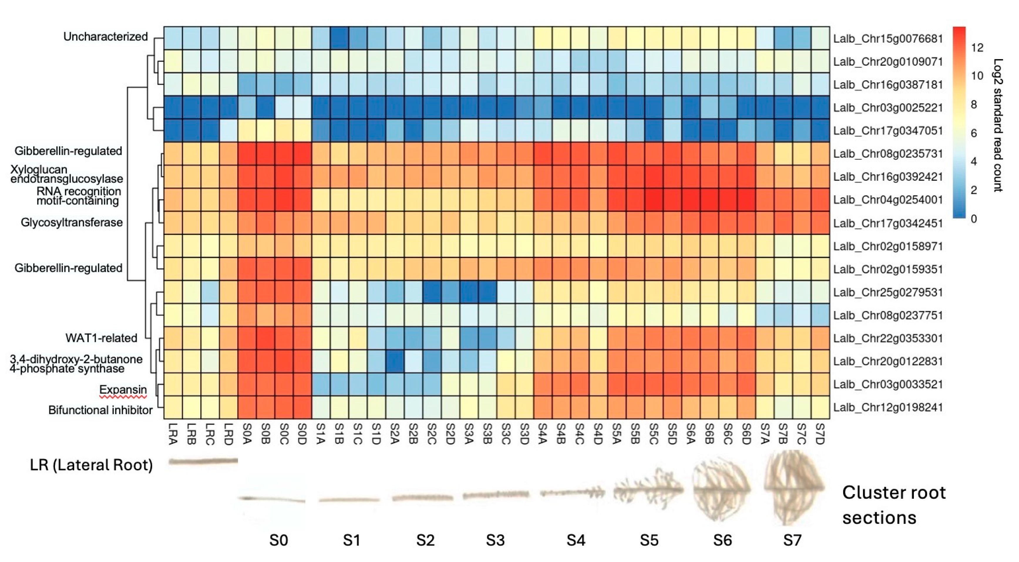 Preprints 107646 g007