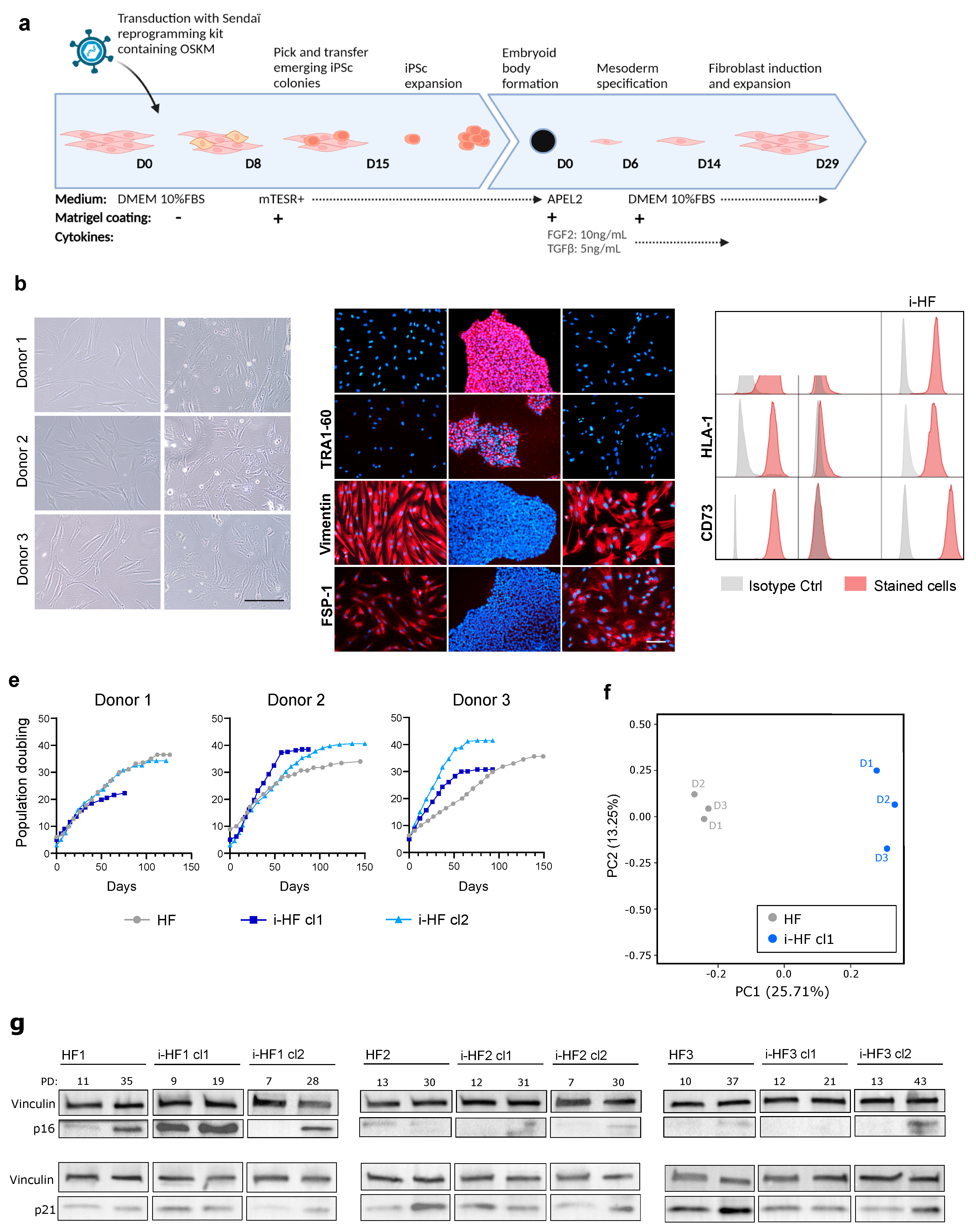 Preprints 104890 g001