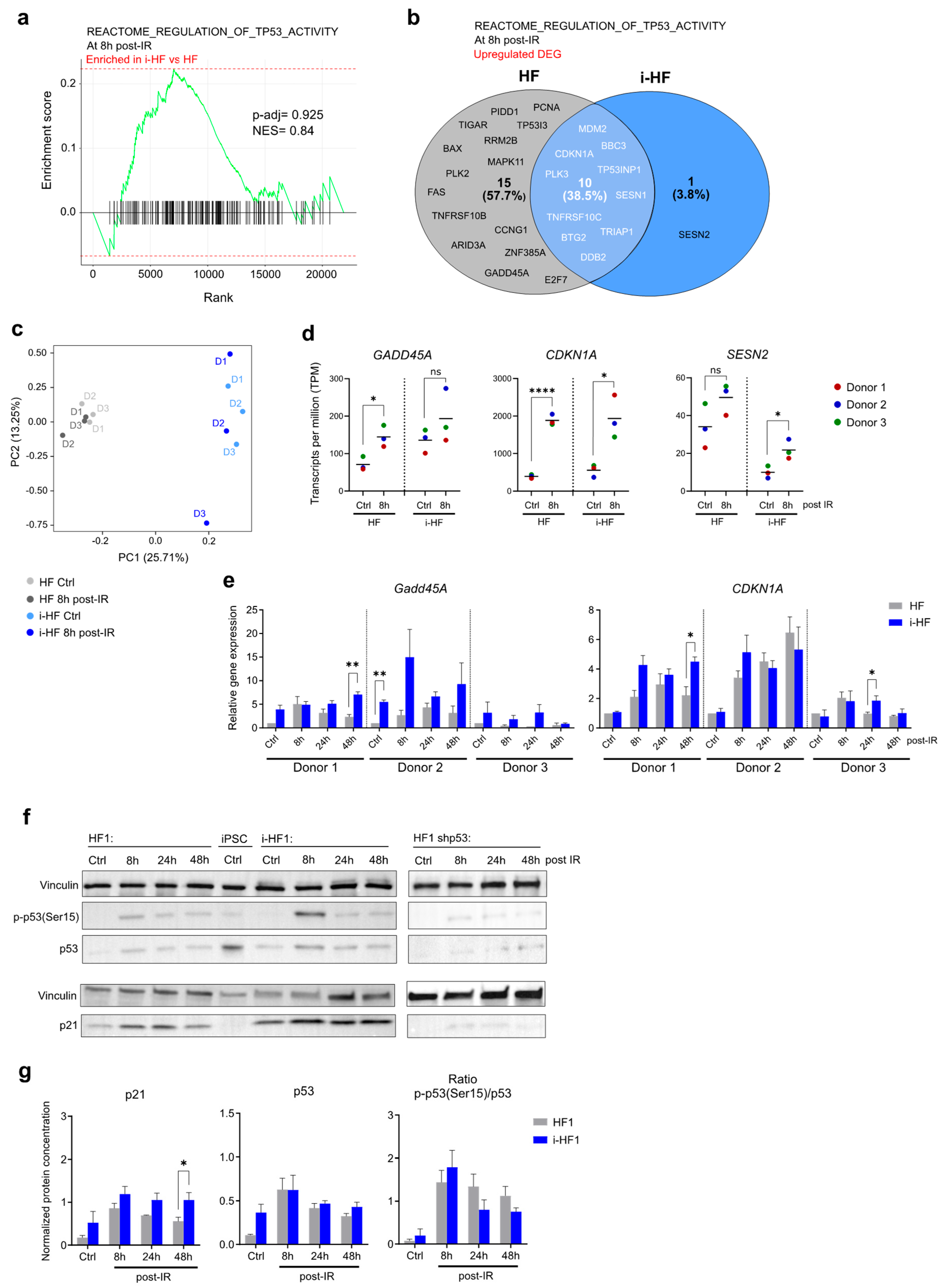 Preprints 104890 g002