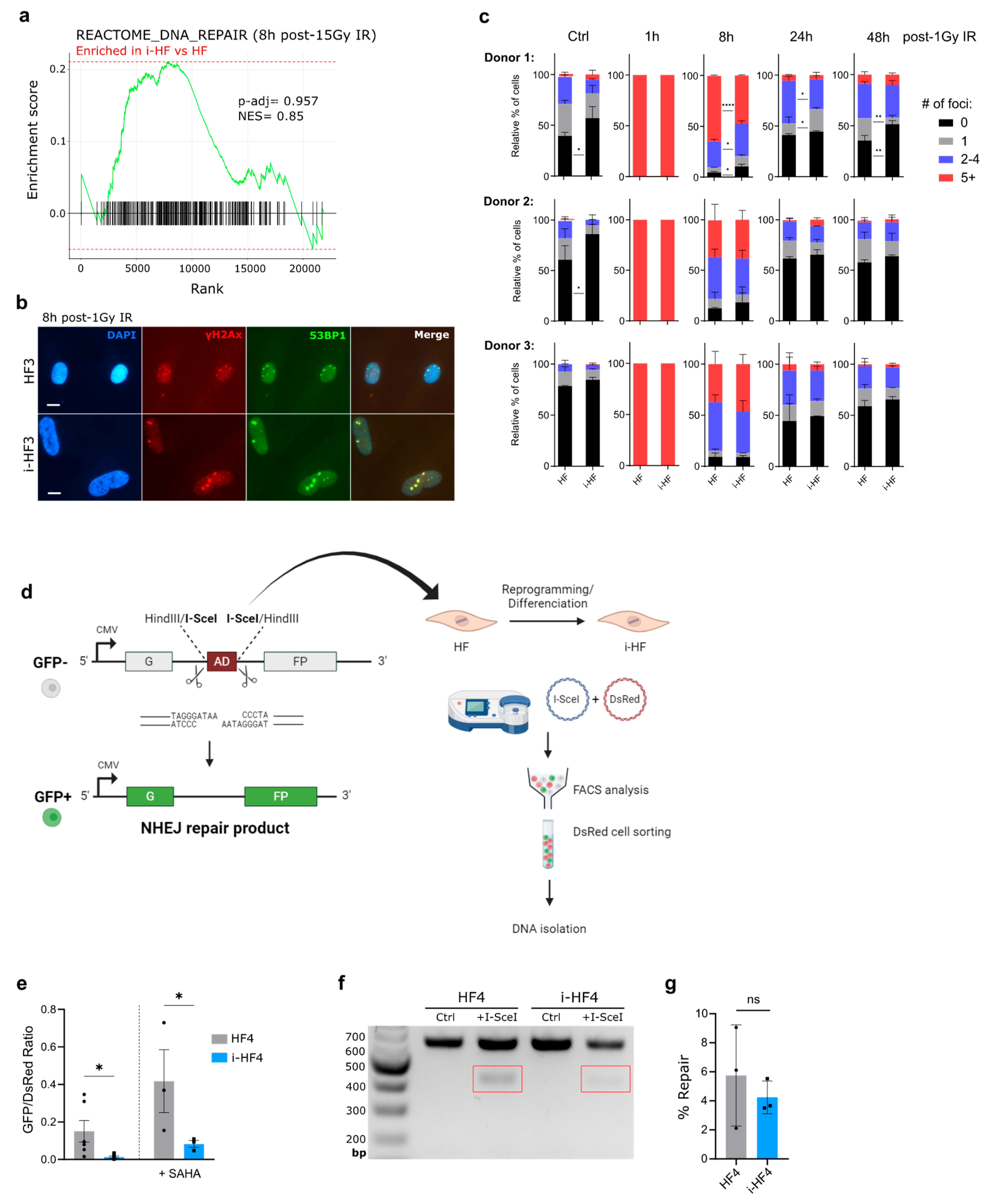 Preprints 104890 g005