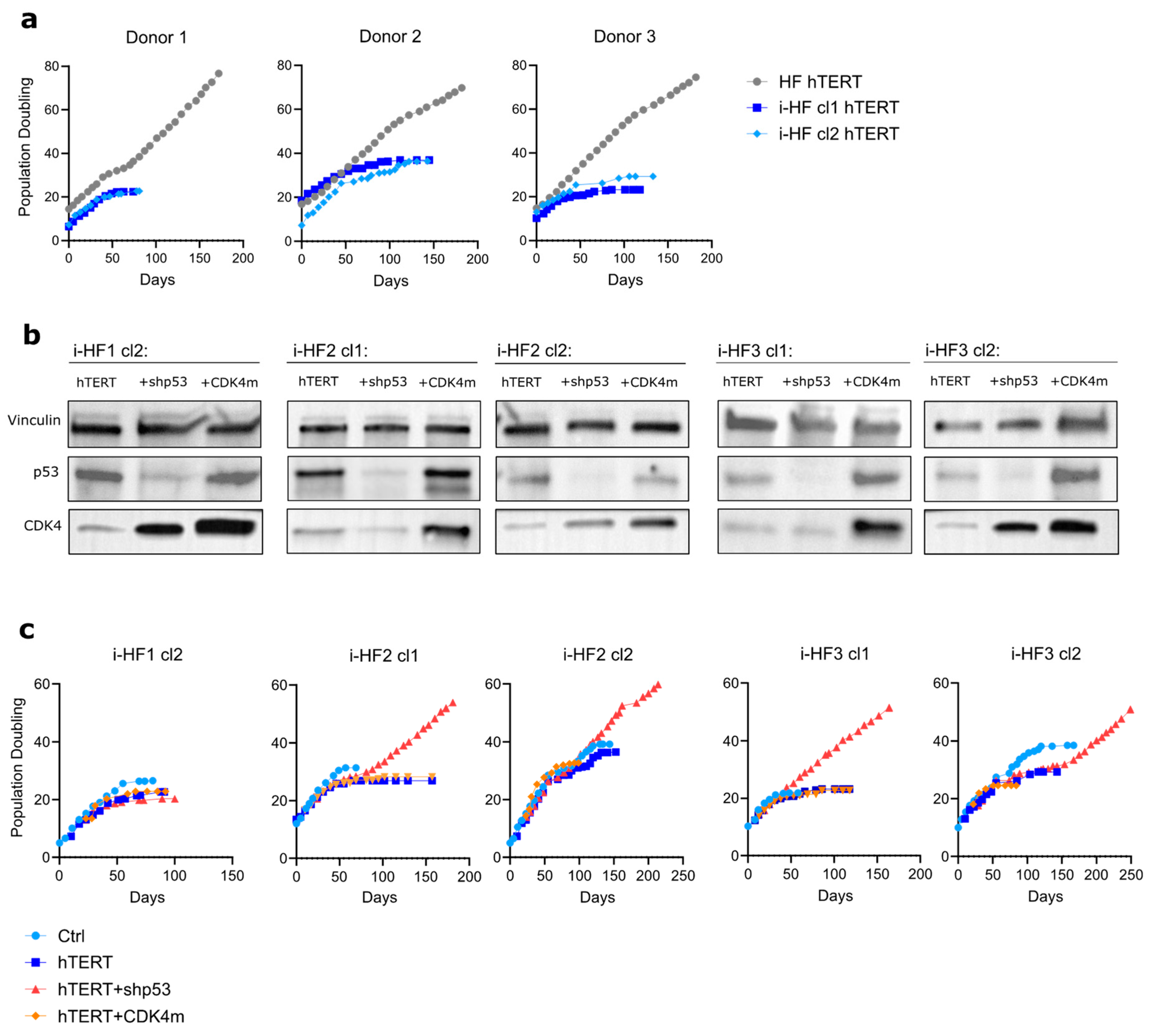 Preprints 104890 g006