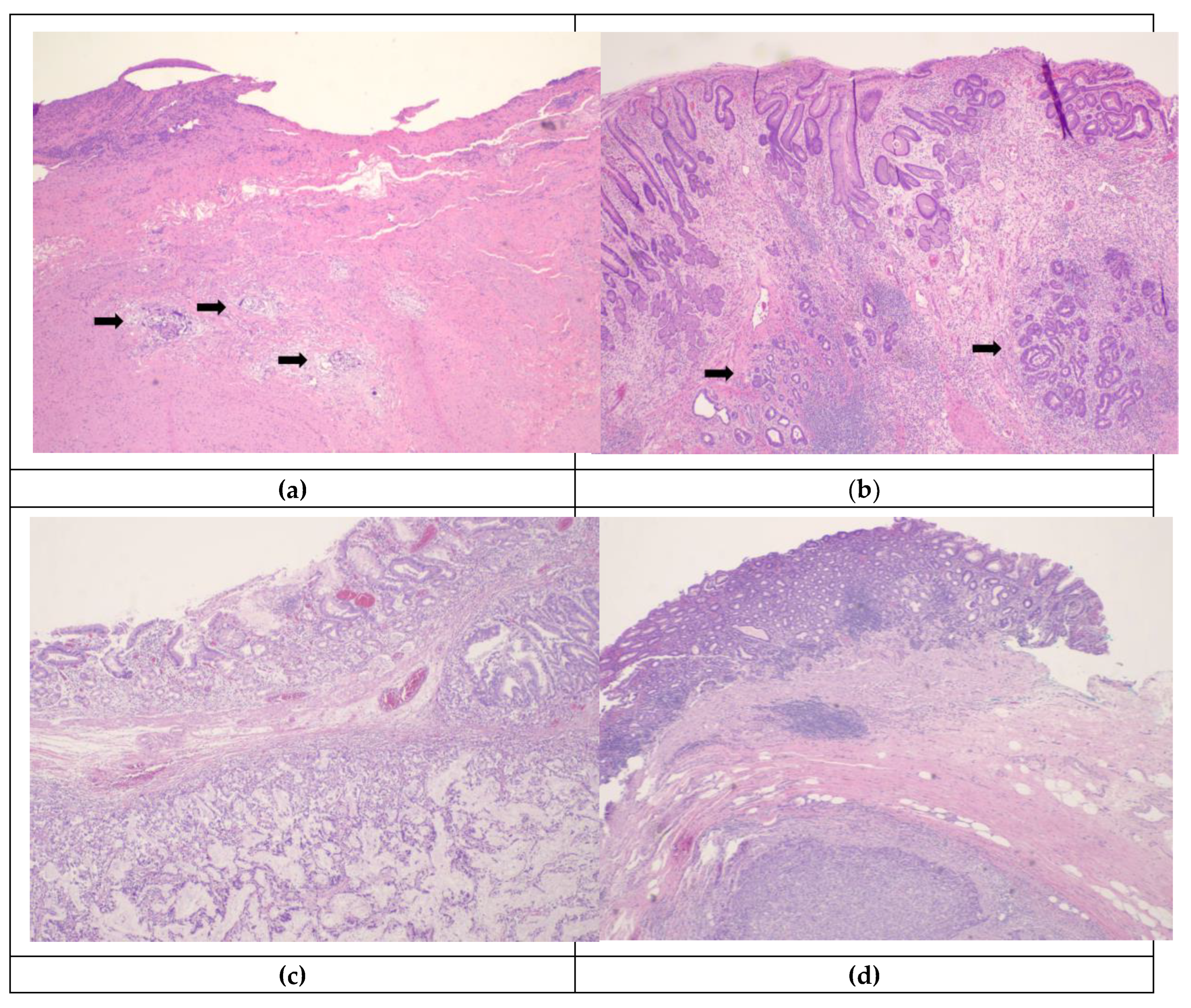 Preprints 78115 g001